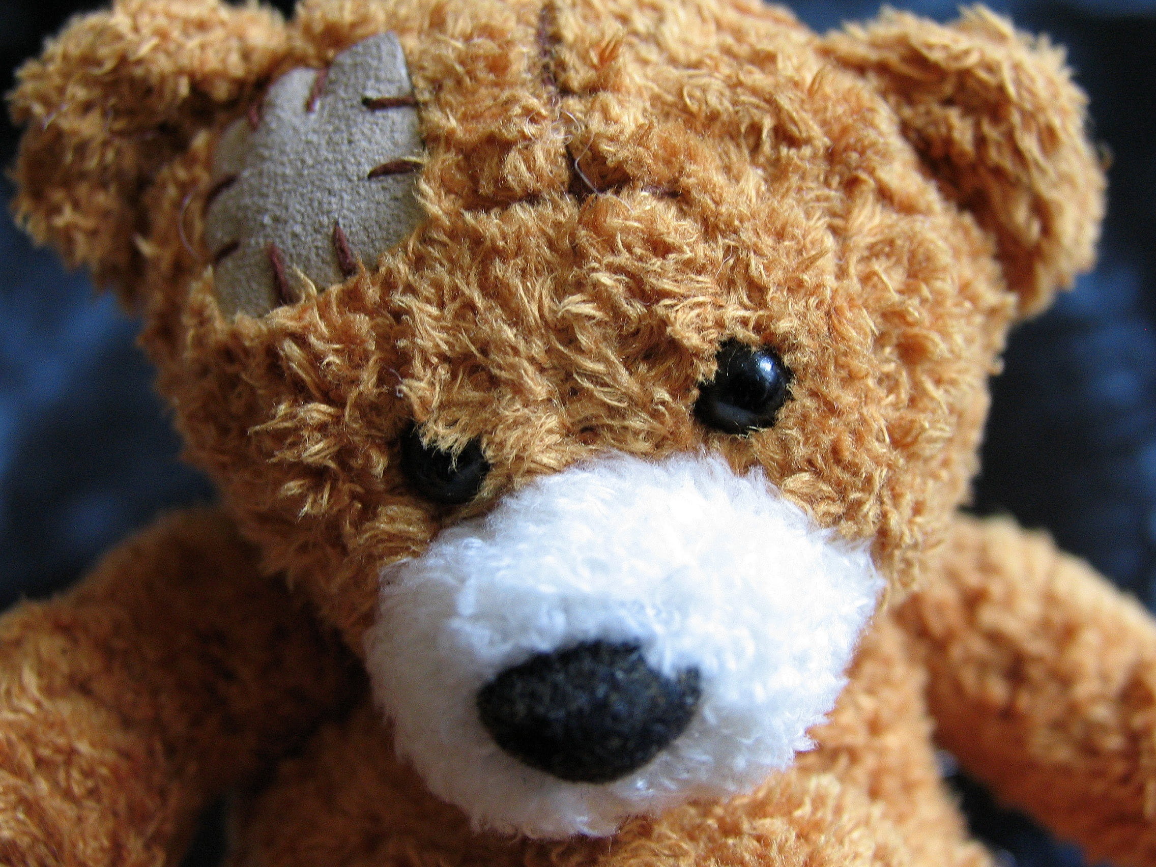 dog, sewing, toy, Teddy Bear, mammal, 1080P, sorry, game, patching, focus on foreground, softness, bear, healing, care, disease, representation, brown, HD Wallpaper