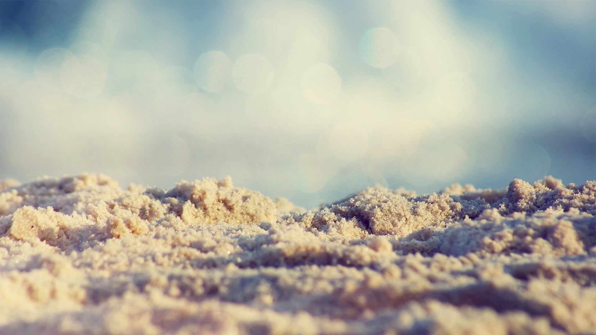 beauty in nature, depth of field, outdoors, beach, food and drink, surface level, sunlight, pebble, nature, sand, tranquility, macro, selective focus, grain, HD Wallpaper