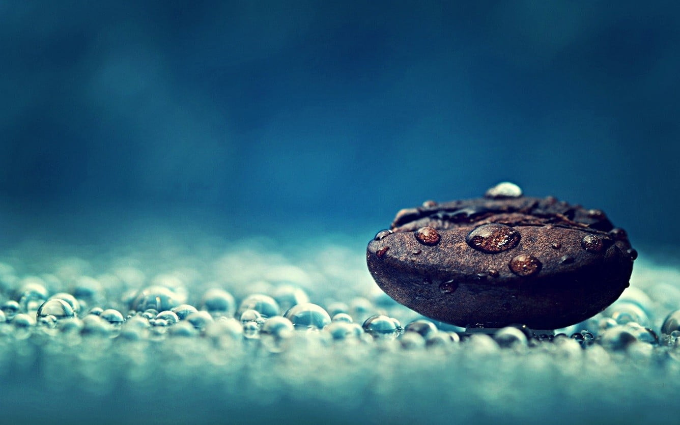 small, nature, 720P, close-up, copy space, temptation, drop, shape, blue, no people, water drops, still life, selective focus, bean, coffee, HD Wallpaper