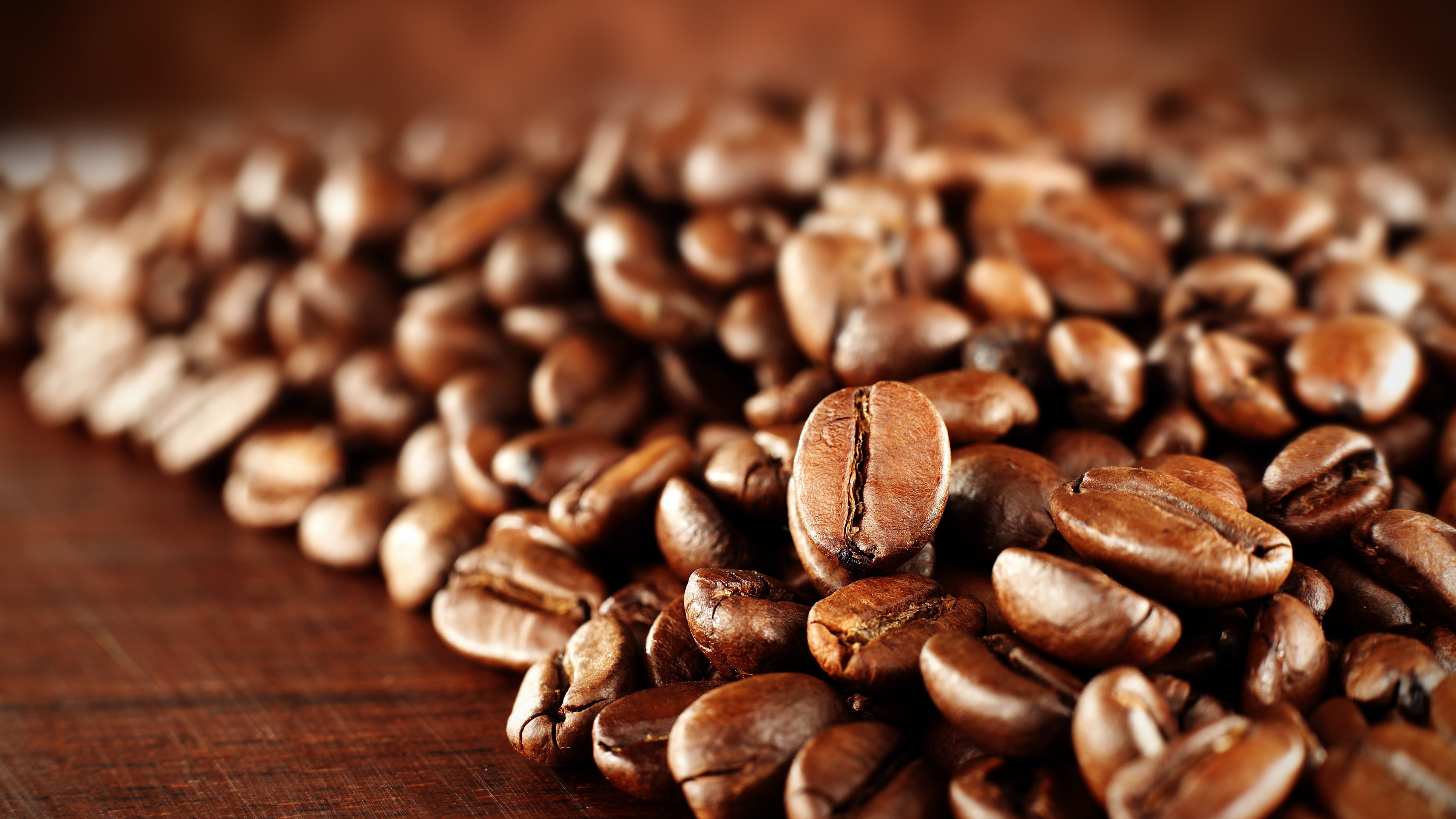 Macro, 4K, Coffee, Beans, Photography, HD Wallpaper