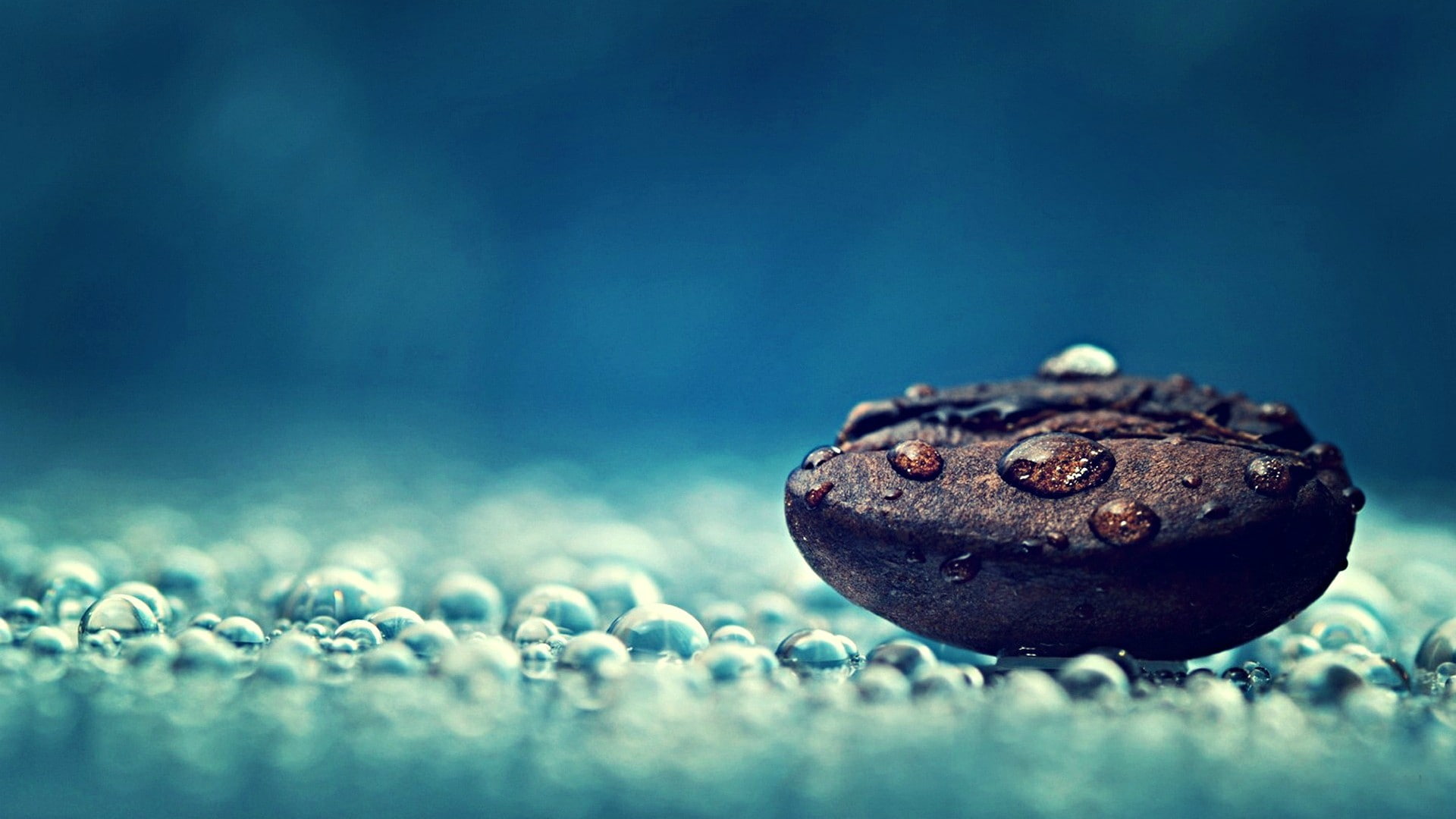 drops, beans, water drops, 1080P, background, coffee beans, field, depth of field, artwork, photography, blue background, depth, water, closeup, coffee, HD Wallpaper