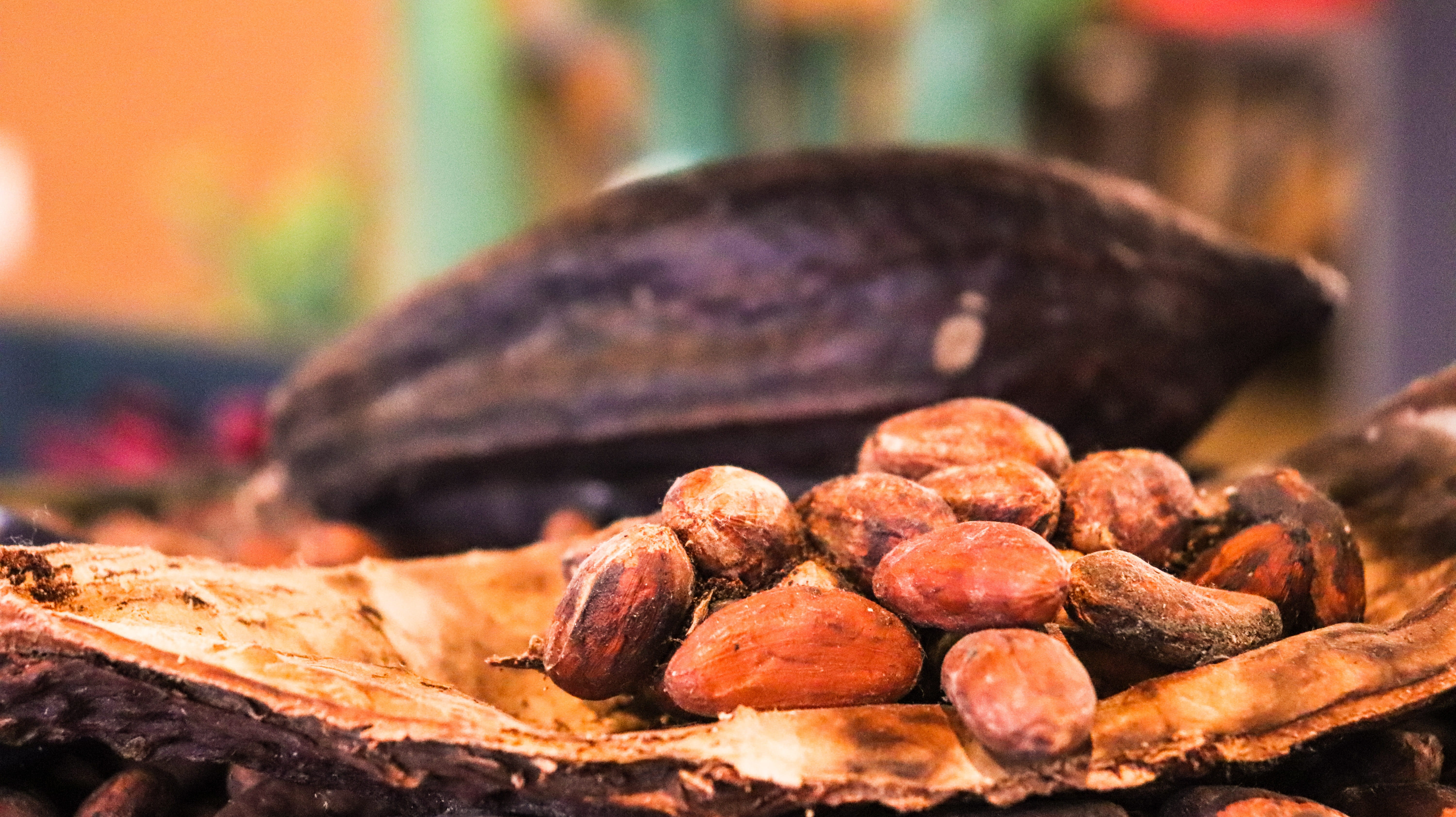 chocolate, bean, food, market, caffeine, freshness, no people, day, snack, kakaonips, cacao, organic, close-up, abundance, healthy eating, container, kakao, HD Wallpaper