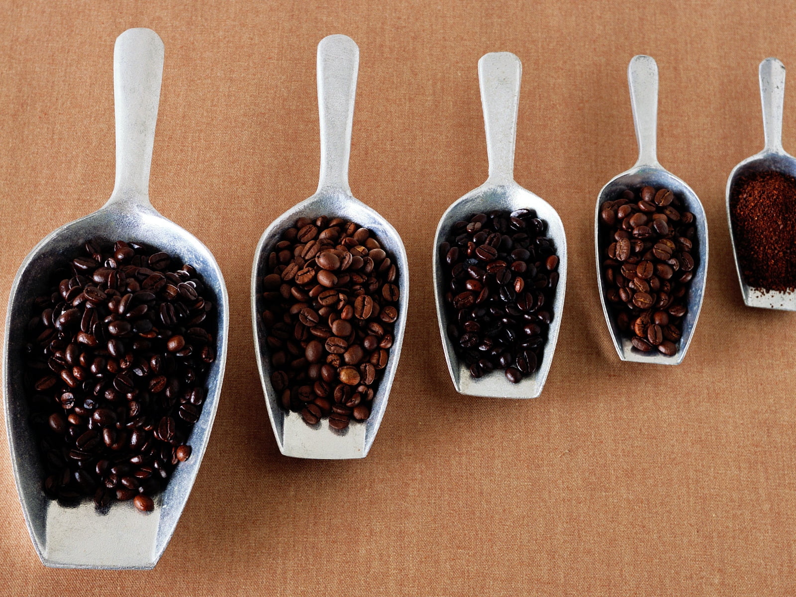 indoors, brown, freshness, coffee, table, kitchen utensil, order, eating utensil, 720P, roasted coffee bean, choice, spoon, variation, still life, beans, HD Wallpaper