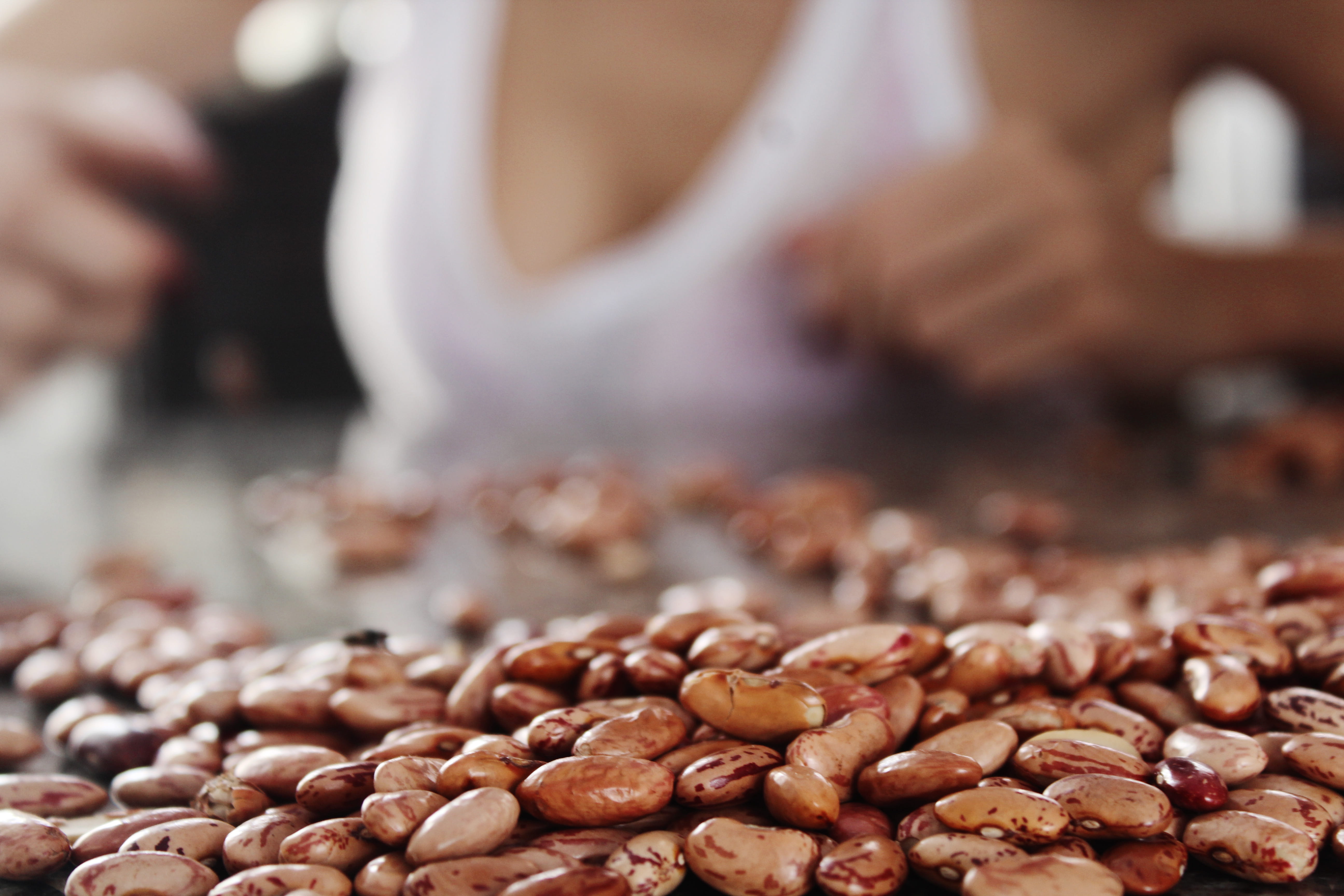 abundance, nut, food, brown, selective focus, brazilian food, midsection, coffee, focus on foreground, comida brasileira, snack, food and drink, temptation, HD Wallpaper
