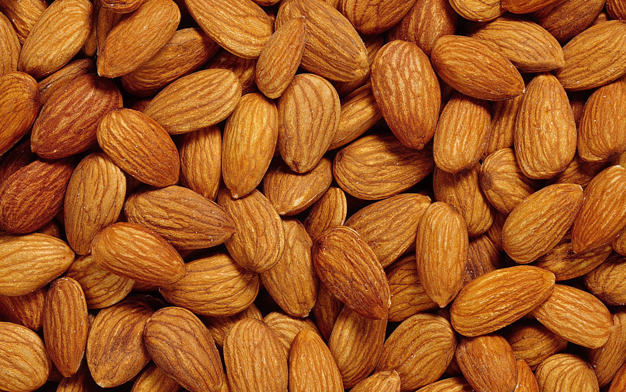 nut, no people, directly above, food and drink, healthy eating, nuts, snack, Food, Nature, 1080P, textured, studio shot, almond, full frame, indoors, large group of objects, HD Wallpaper