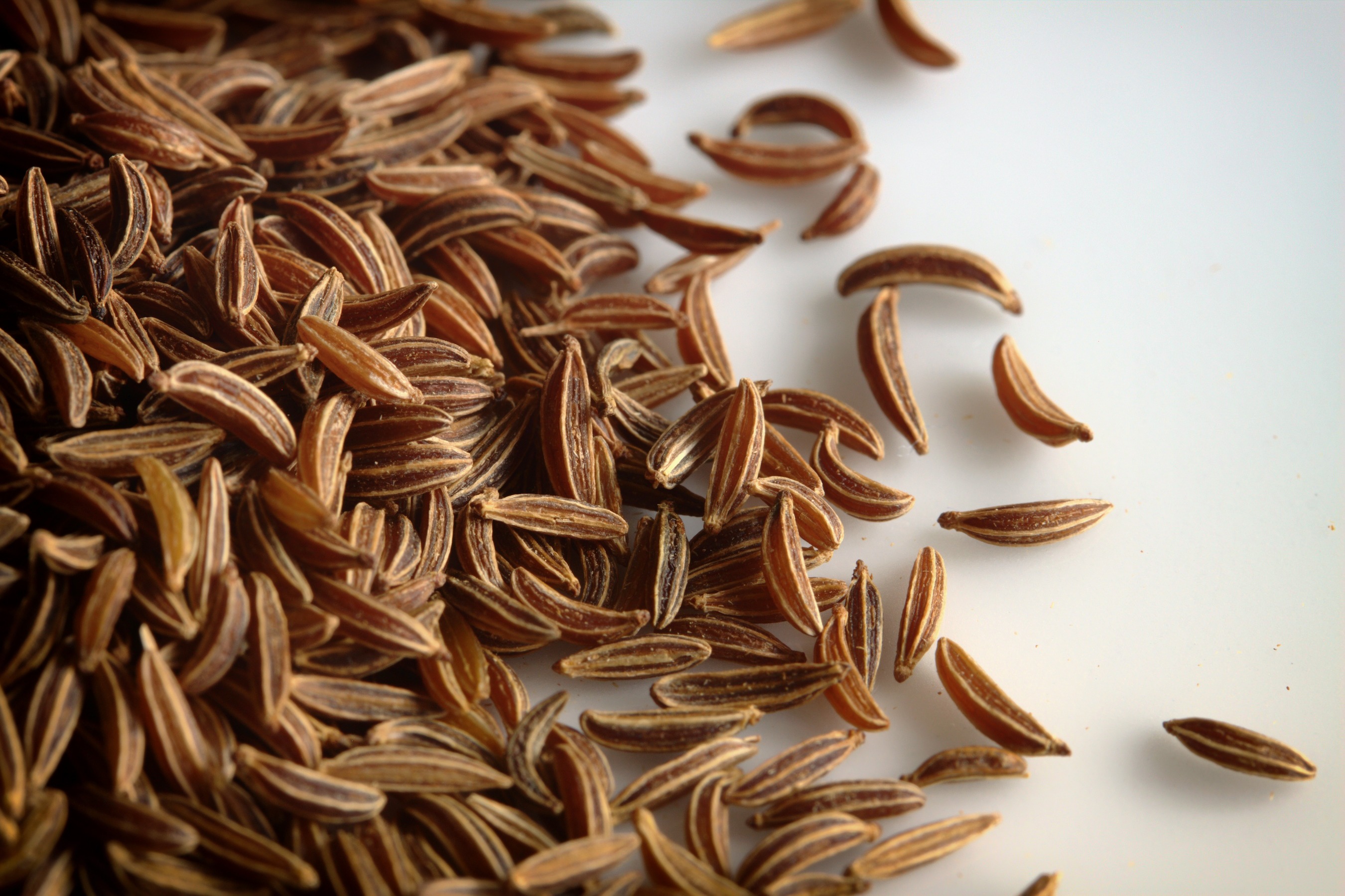 white background, cuisine, background, high angle view, ingredient, dry, brown, table, organic, food, caraway seeds, close-up, 2K, large group of objects, HD Wallpaper