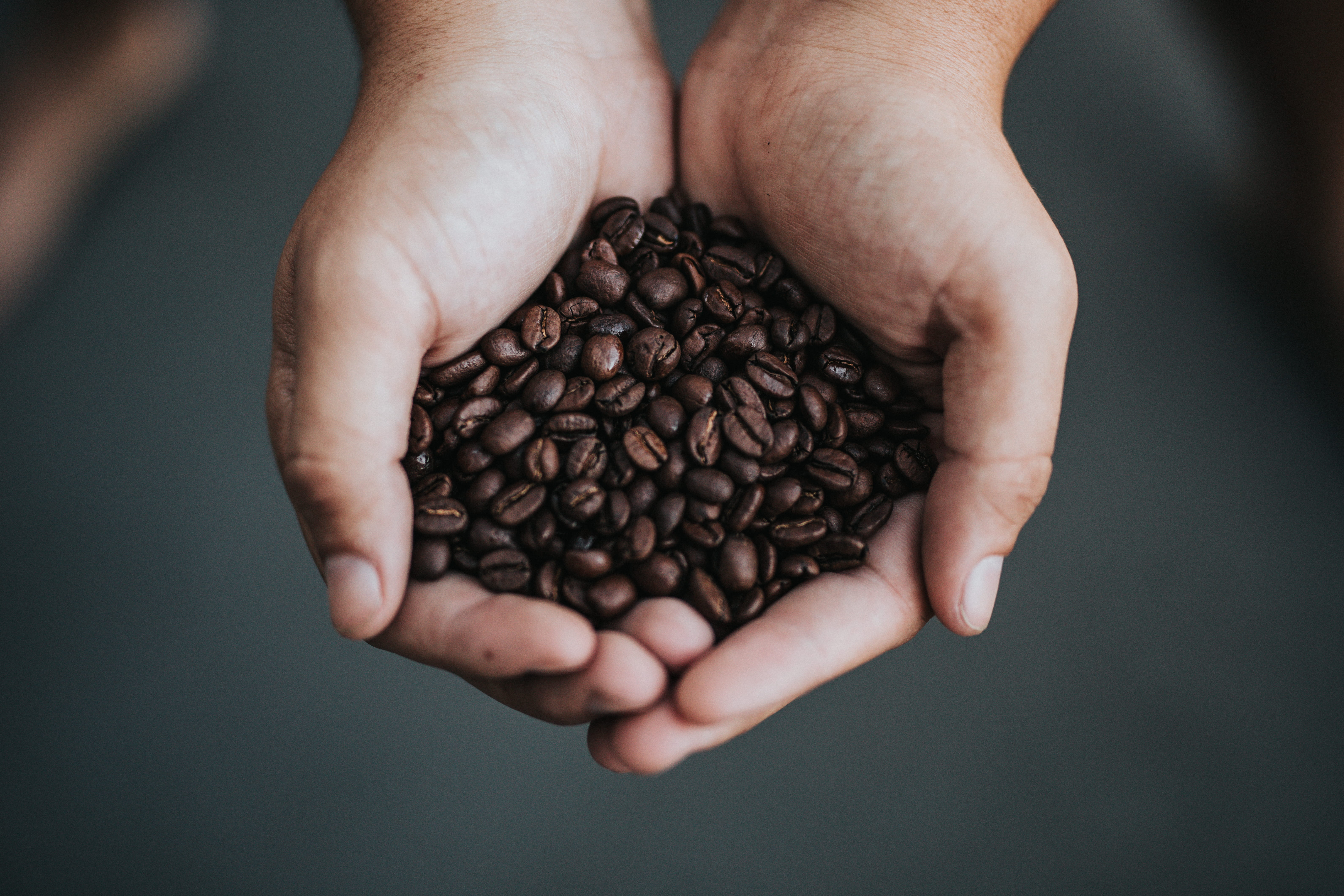 beans, flax, coffee - drink, freshness, hands cupped, vegetable, close-up, abundance, indoors, finger, plant, produce, grey, wheat, directly above, lentil, HD Wallpaper