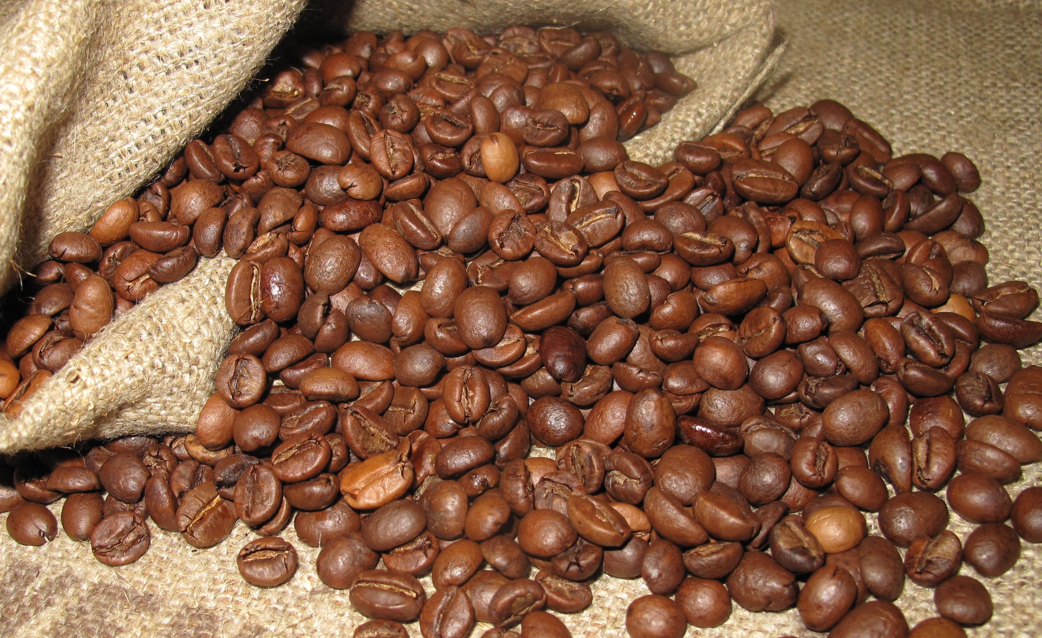 seed, grain, nature, caffeine, healthy eating, wellbeing, beans, coffee, bean, brown, indoors, coffee - drink, backgrounds, coffee beans, cafe, abundance, HD Wallpaper