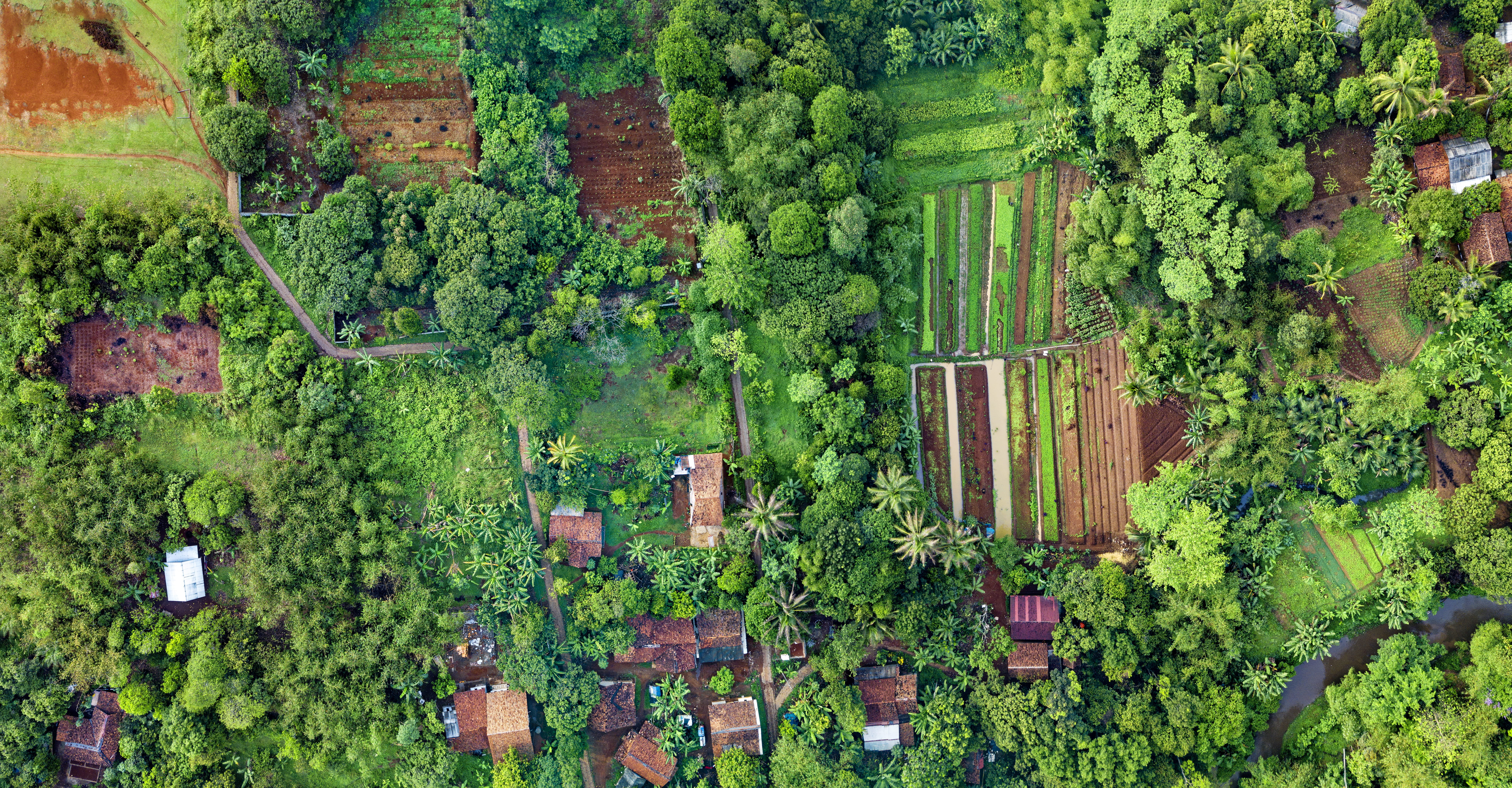 plantation, architecture, tree, outdoors, land, no people, plant, flora, cropland, food and drink, landscape, green, day, green color, high angle view, HD Wallpaper