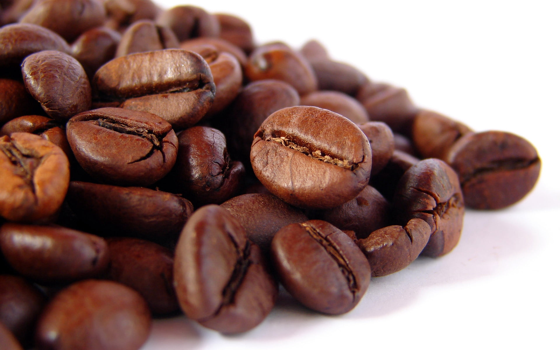 1080P, seed, selective focus, breakfast, indoors, coffee, coffee Crop, cappuccino, studio shot, drink, white, scented, espresso, wellbeing, grain, mocha, HD Wallpaper