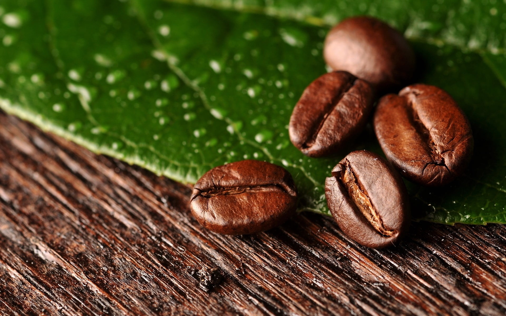 table, surface, drink, selective focus, scented, almond, nut, beands, leaf, coffee - Drink, espresso, 1080P, brown, roasted, coffee beans, no People, coffee Bean, HD Wallpaper