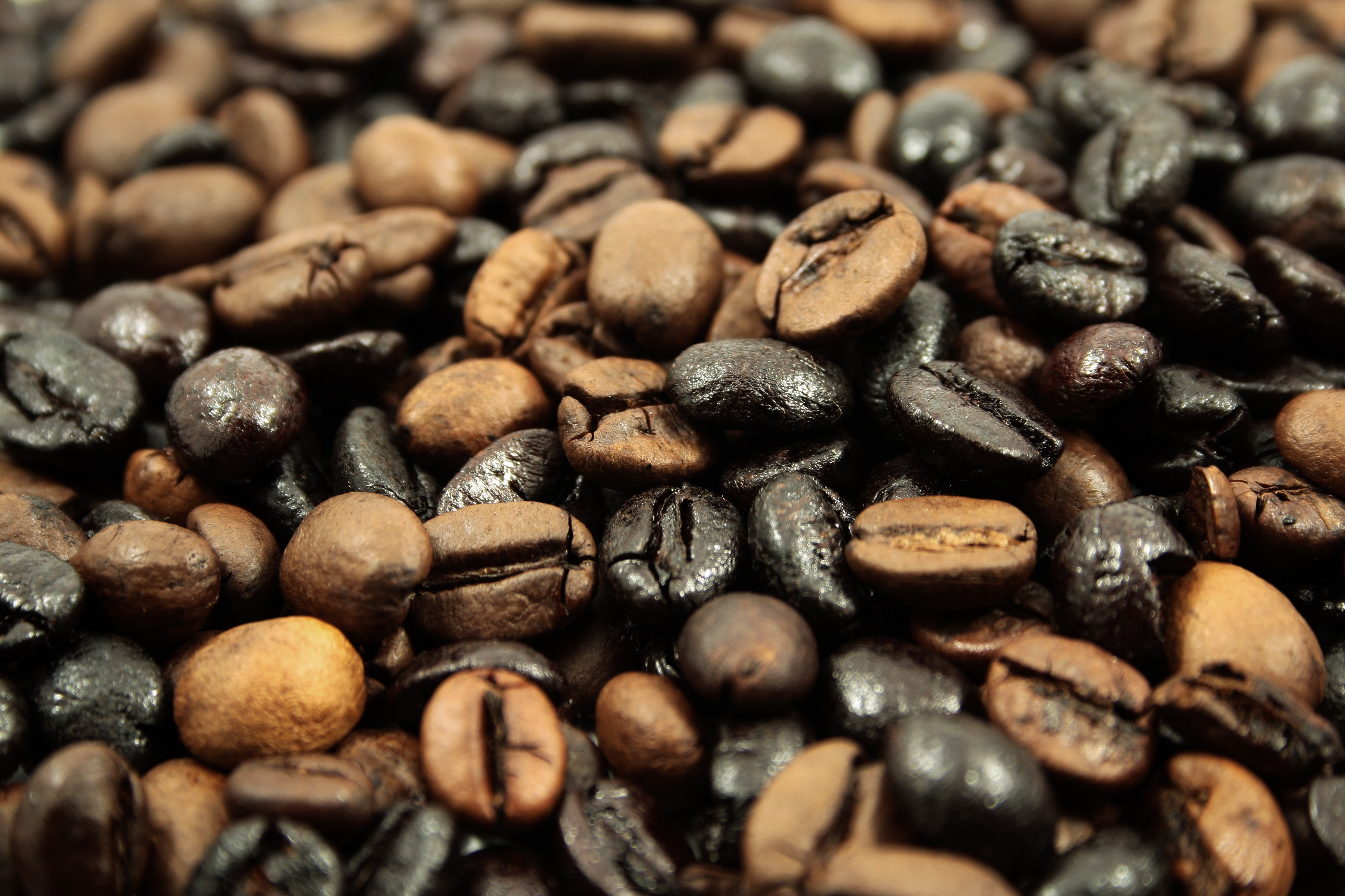 large group of objects, mocha, 4K, dark, macro, beans, no People, coffee, cappuccino, still life, textured, indoors, caffeine, roasted, cafe, raw coffee bean, HD Wallpaper