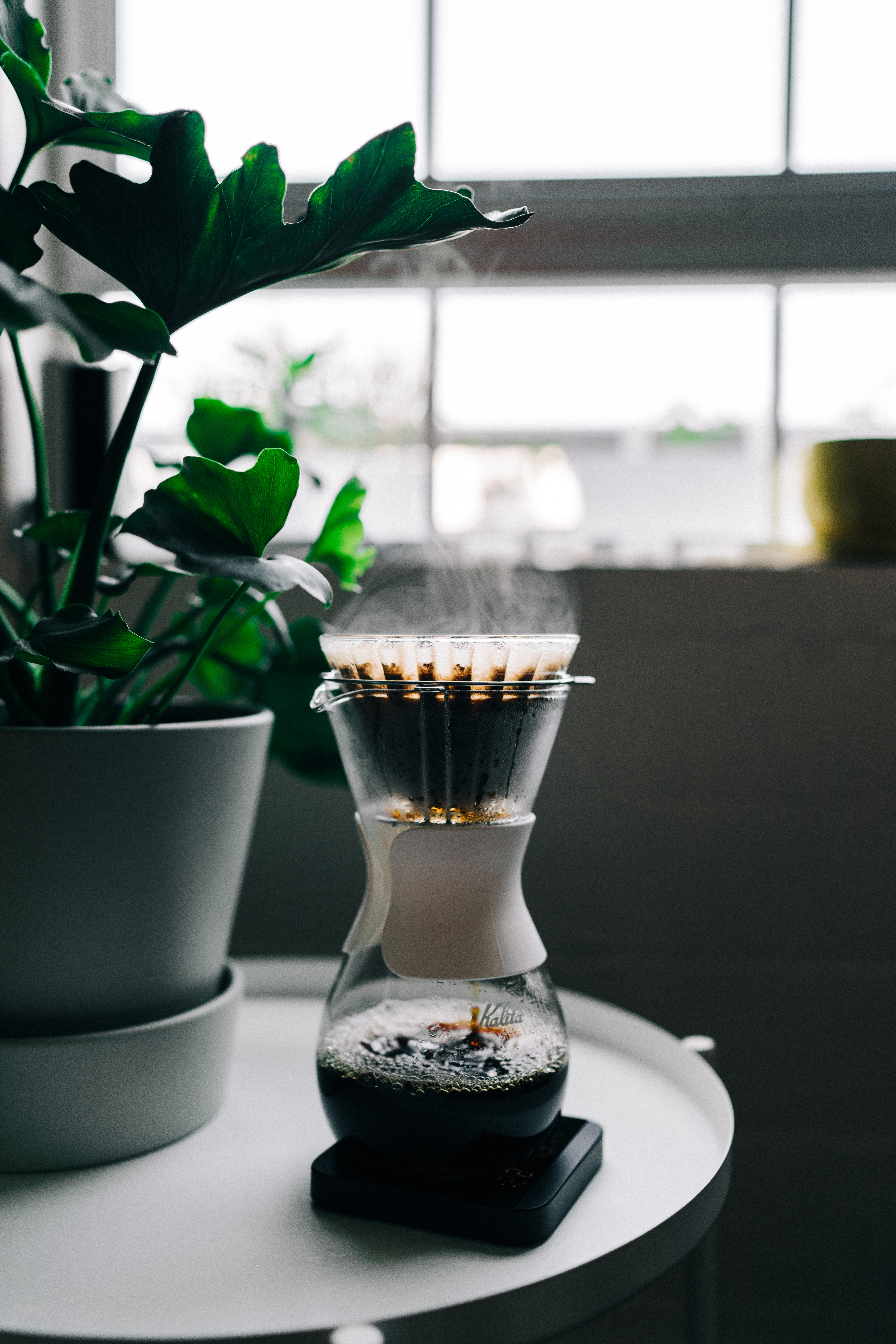 jar, food, drip, baristum, home interior, potted plant, 8K, flower pot, crockery, indoors, grey, focus on foreground, coffee filter, close-up, coffeemaker, Phone HD Wallpaper