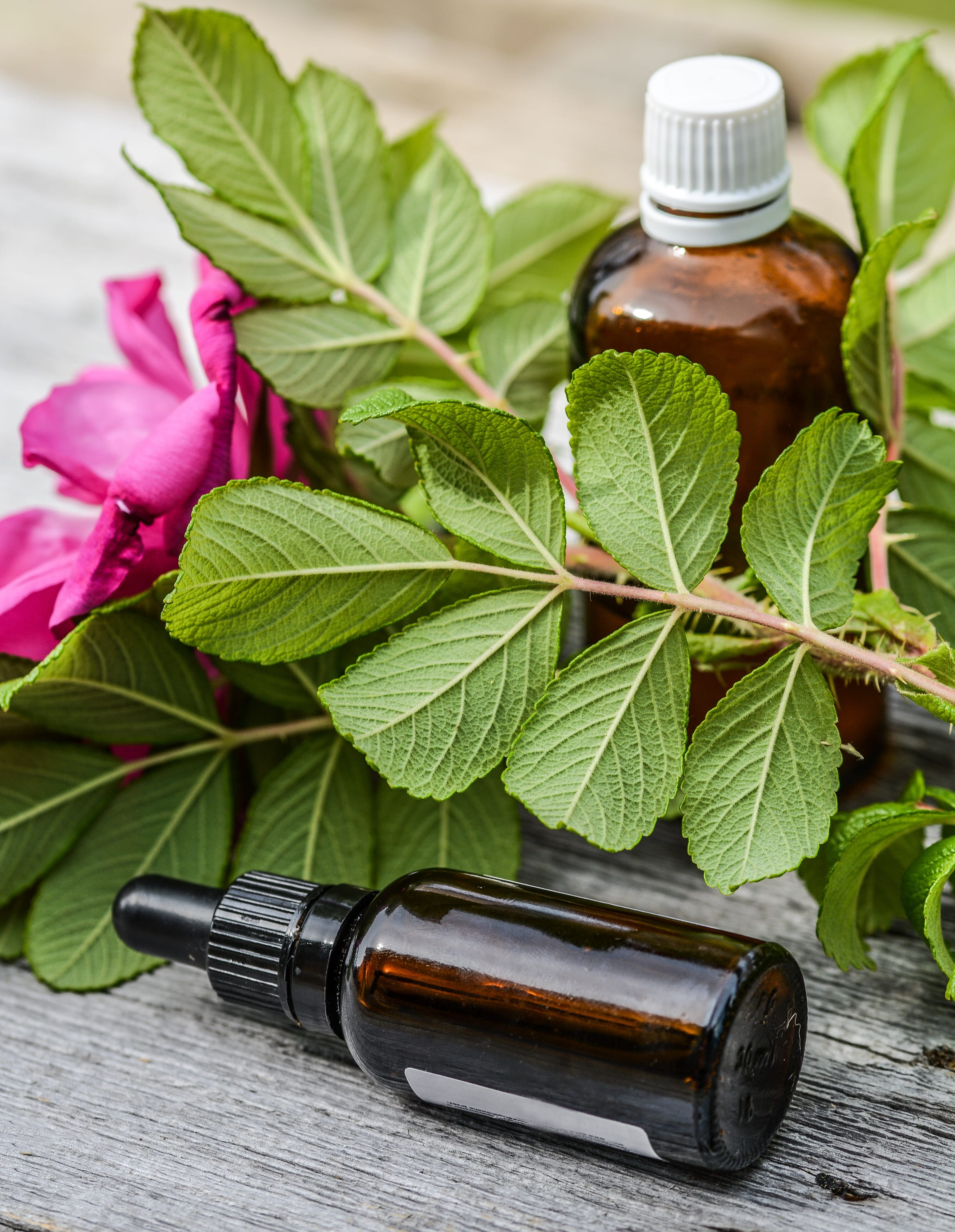 food and drink, 2K, relax, rose, treatment, herb, scent, green color, oil, fragrance, still life, bottle, care, alternative, plant, glass, flower, relaxation, Phone HD Wallpaper