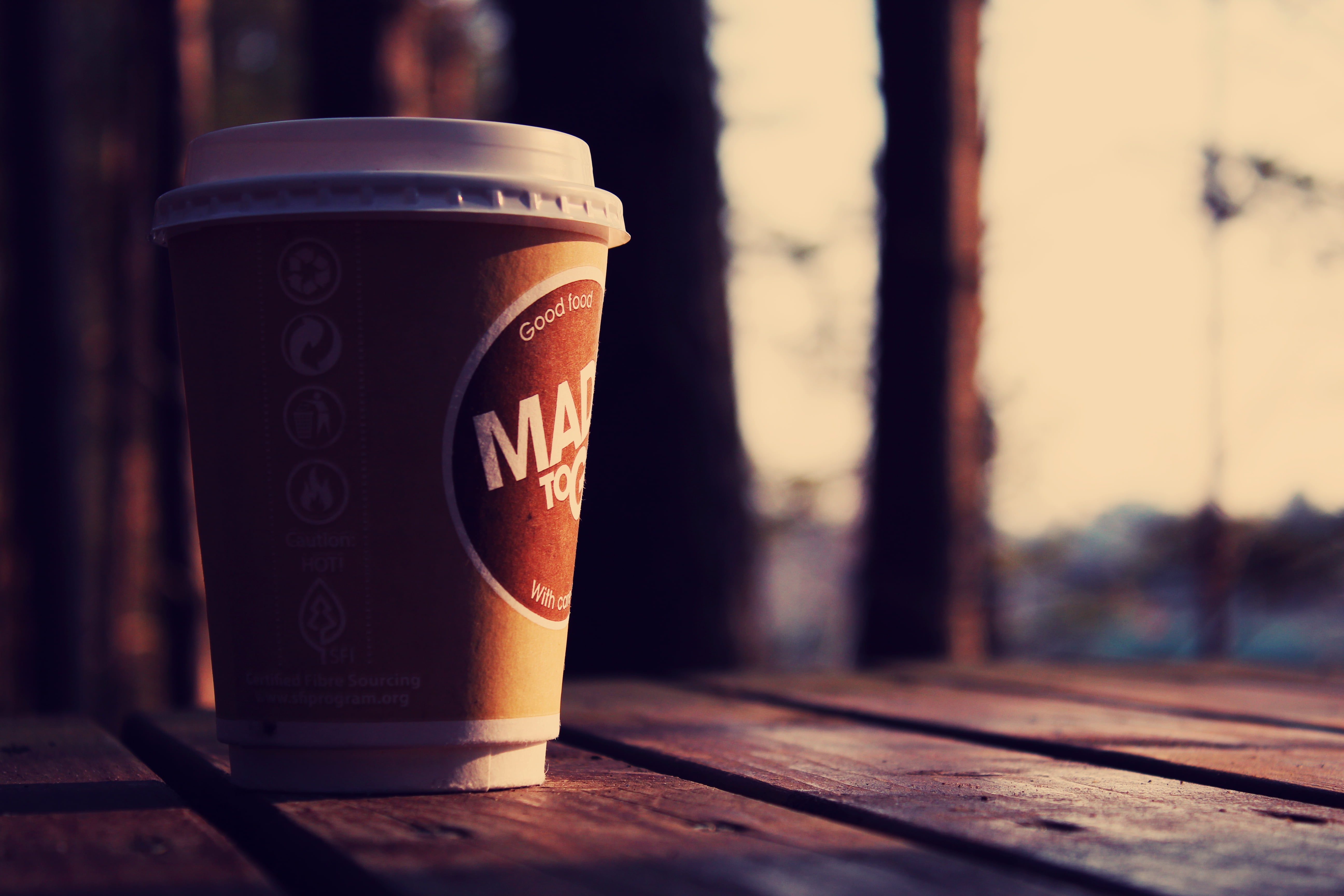 nature, heat - Temperature, day, morning, close-up, container, no People, dark, wood - Material, coffee Cup, can, single Object, disposable, drink, table, HD Wallpaper
