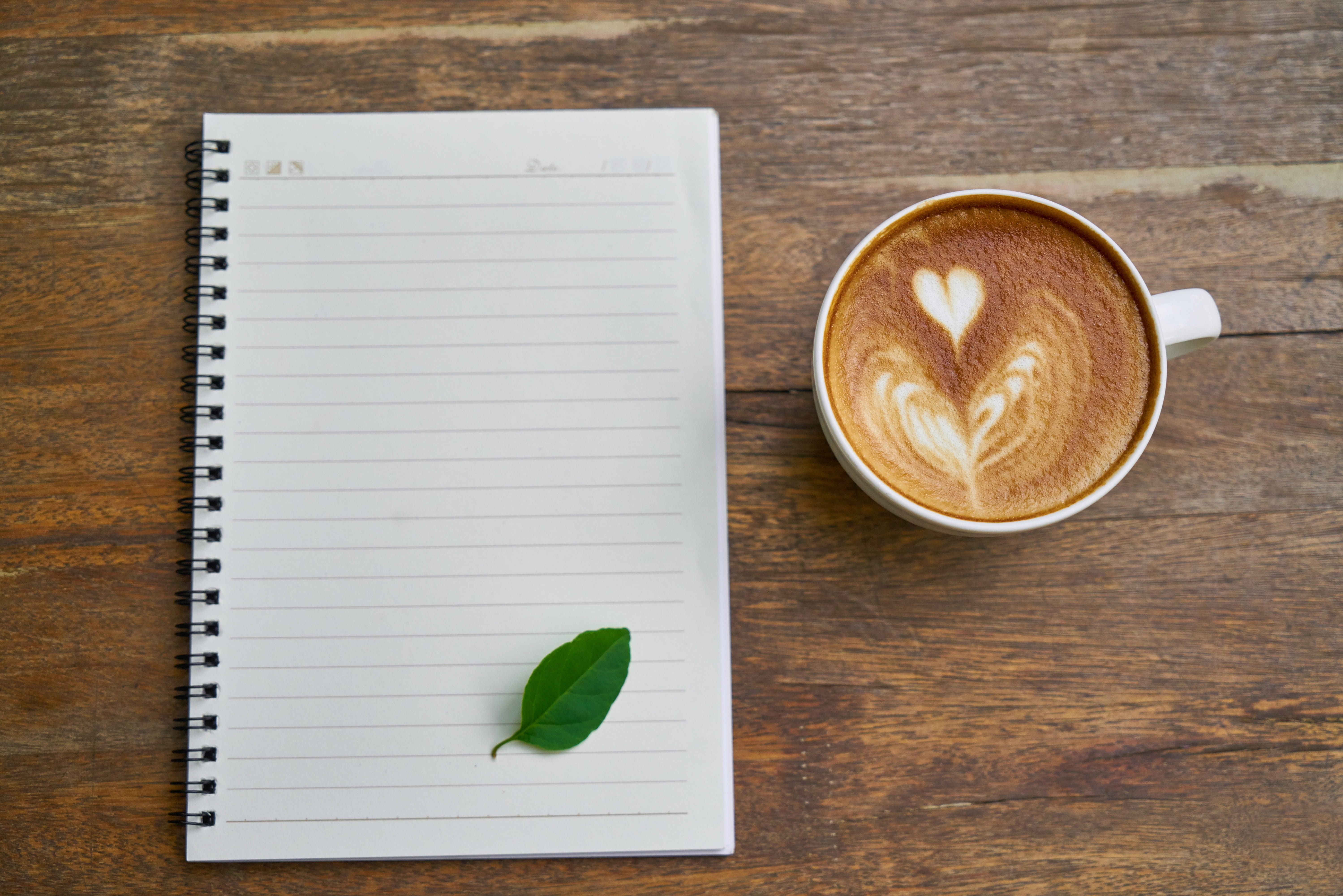 latte, cup, frothy drink, document, wood, wooden, still life, 5K, writing, publication, crockery, mug, notebook, plant part, page, cappuccino, food and drink, HD Wallpaper