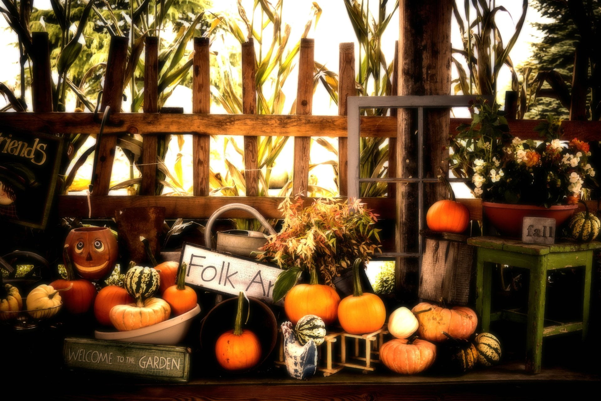wellbeing, nature, vegetable, food and drink, Pumpkin, decoration, Fall, healthy eating, day, Holiday, plant, no people, communication, freshness, tree, HD Wallpaper