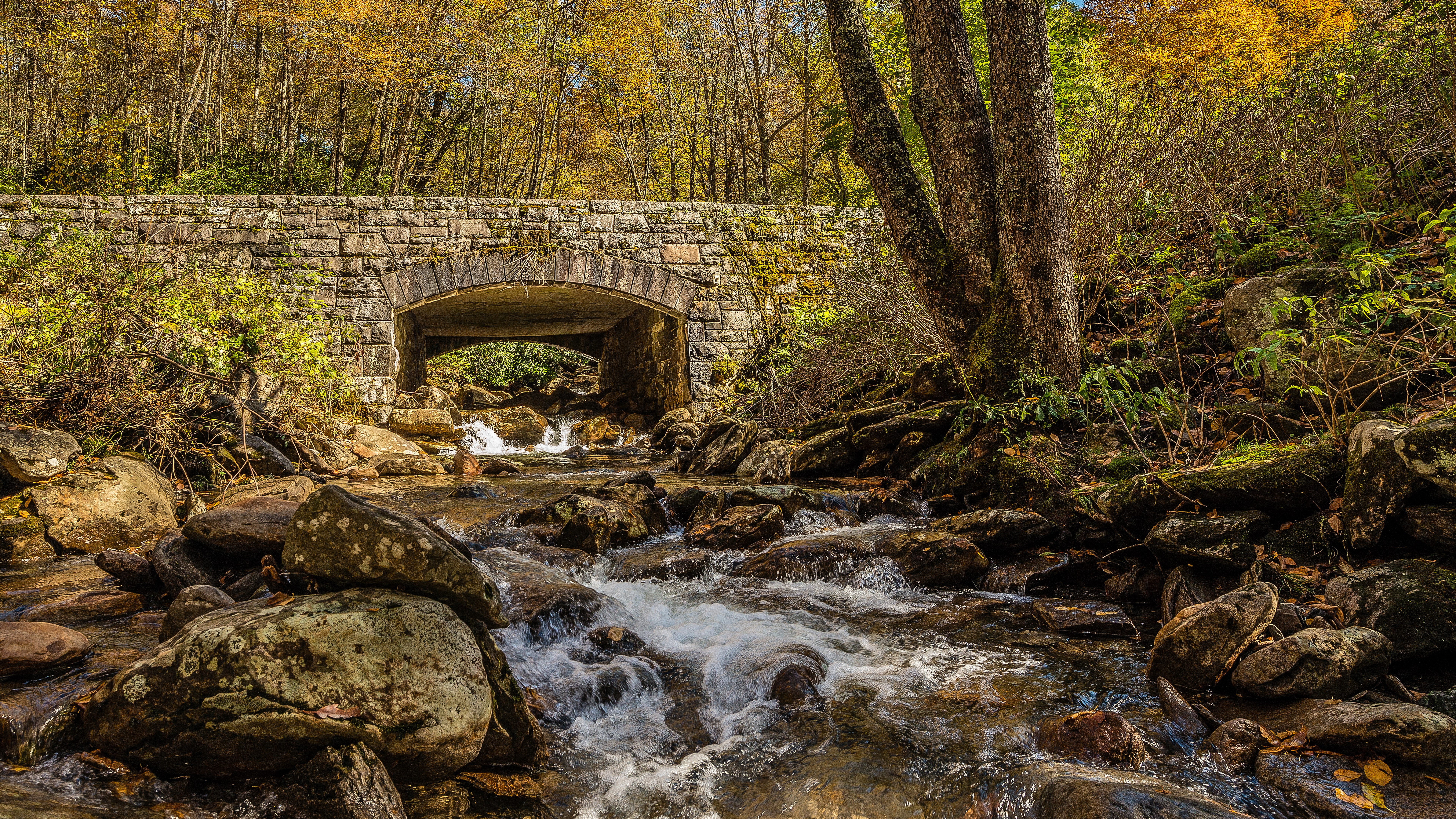 arch bridge, bridge, beauty in nature, flowing, water, 8k uhd picture, land, forest, solid, no people, nature, flowing water, rock, tree, stream - flowing water, HD Wallpaper