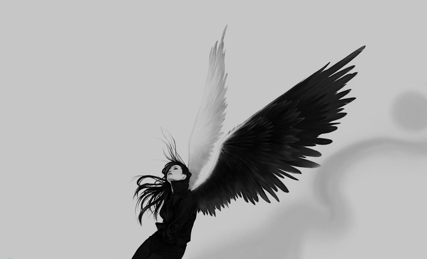 close-up, animal themes, one animal, copy space, softness, nature, angel, peacock, wings, white, animal, animal wildlife, spread wings, flying, animals in the wild, HD Wallpaper