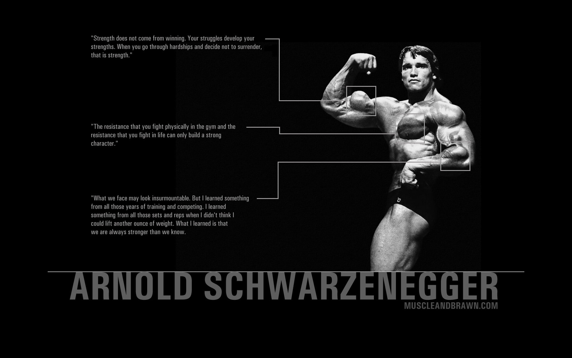 1080P, quotes, schwarzenegger, arnold, HD Wallpaper