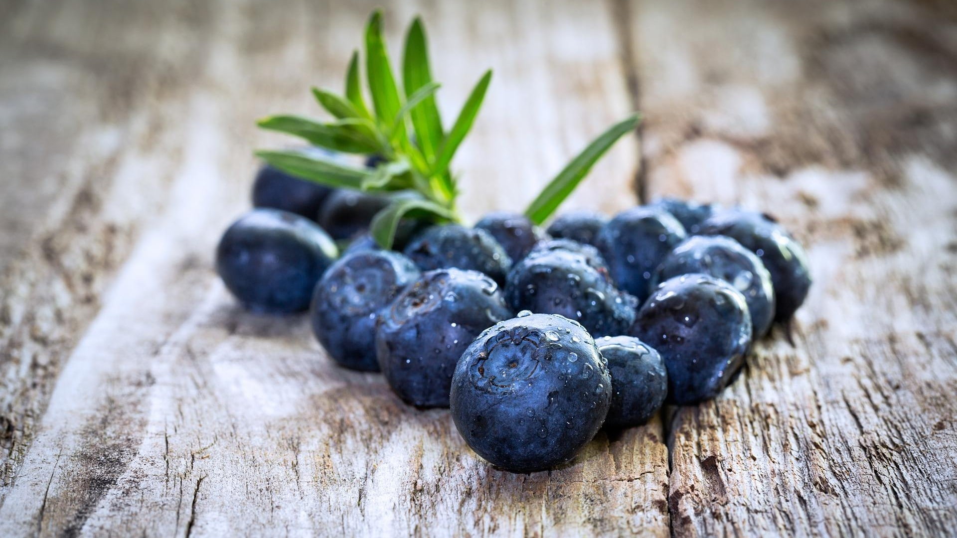 fruit, closeup, fresh, blueberry, 1080P, food, HD Wallpaper