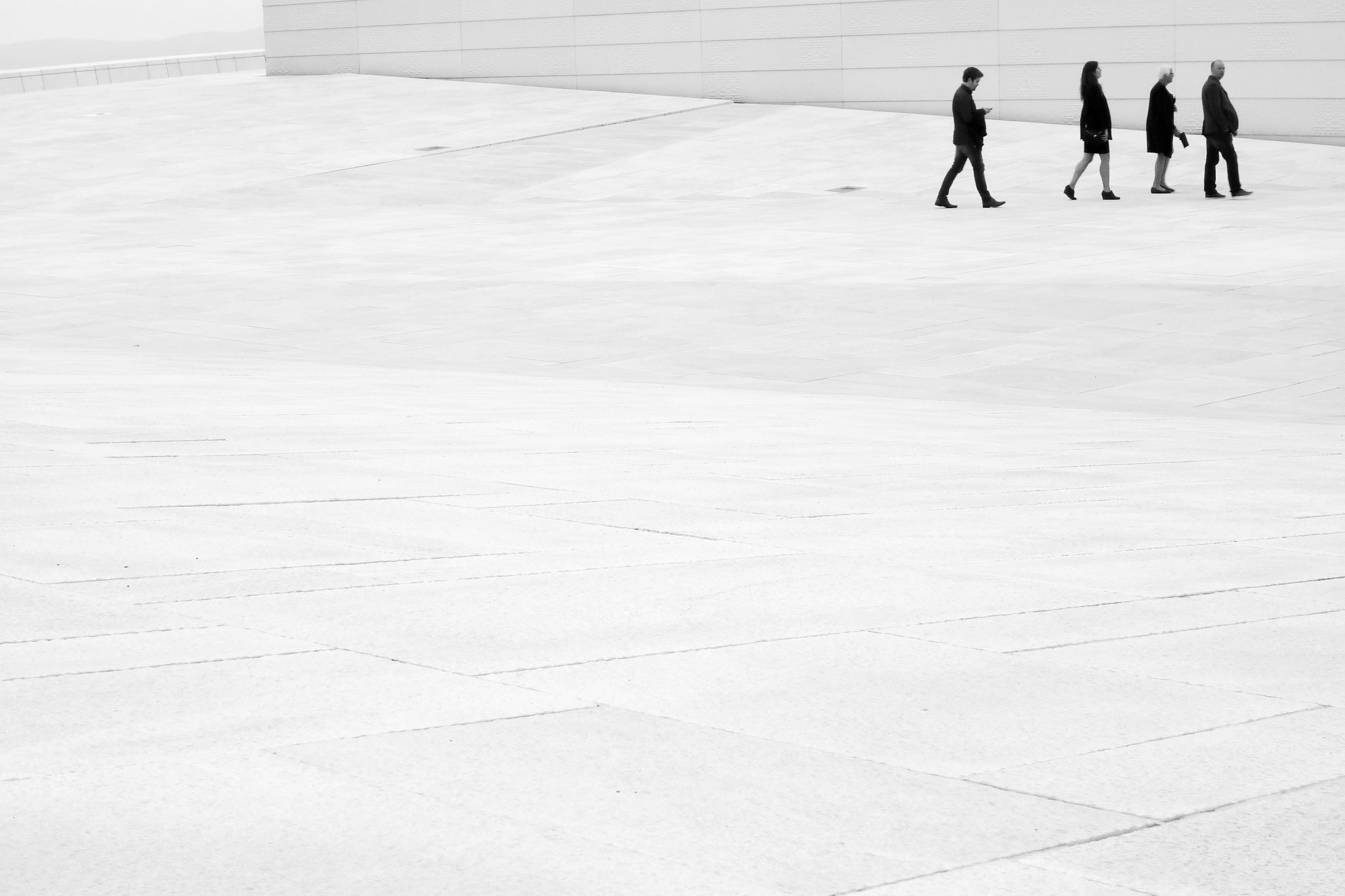 nature, winter sport, walking, simple, male, marble, concrete, sport, four, day, winter, ice, lifestyles, woman, black and white, white, roof, wall, snow, HD Wallpaper