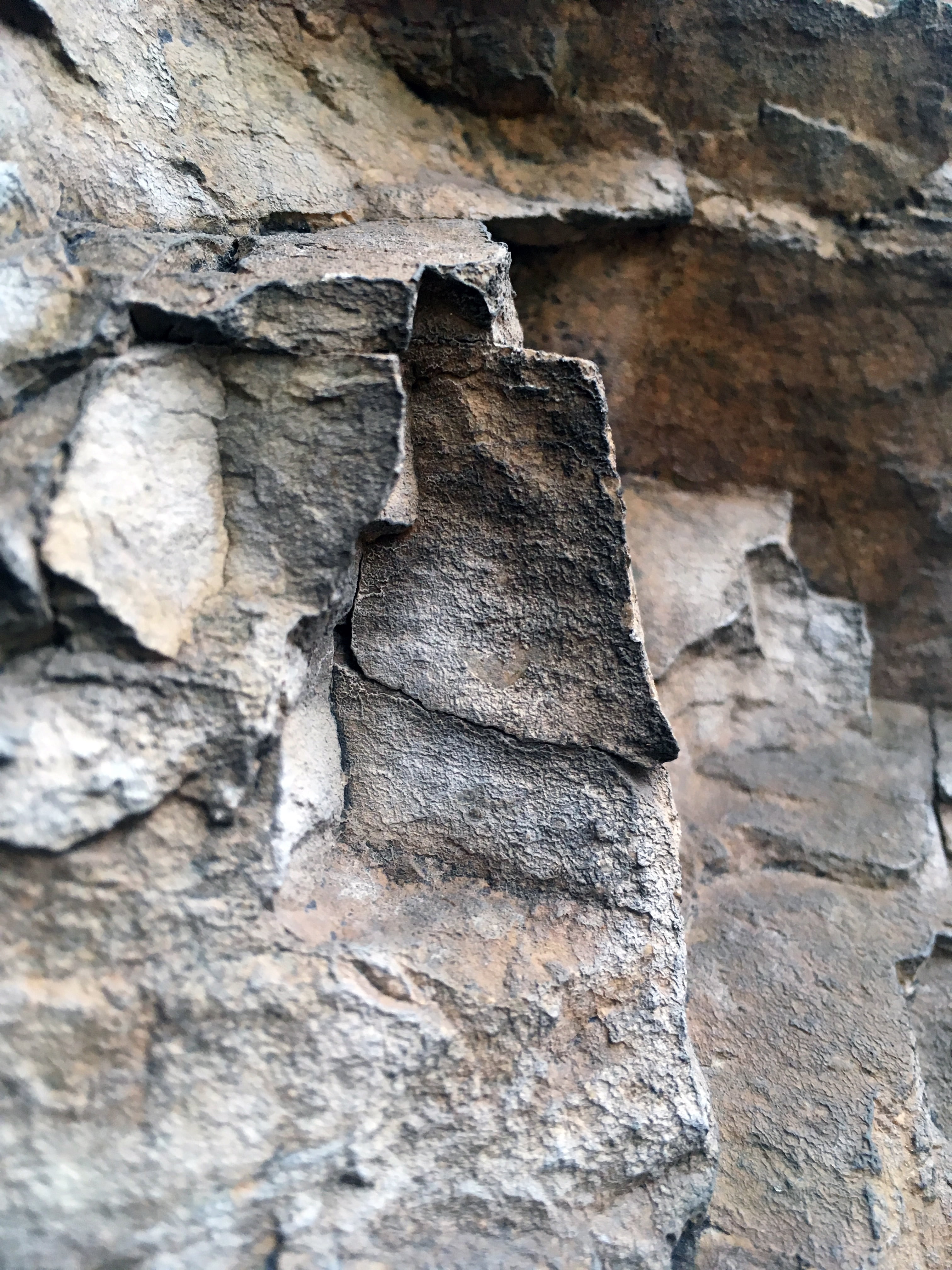 grey, background, day, close-up, nature, organics, stone texture, wall, strong, 4K, material, texture, rock, lichen, geology, backgrounds, history, Phone HD Wallpaper