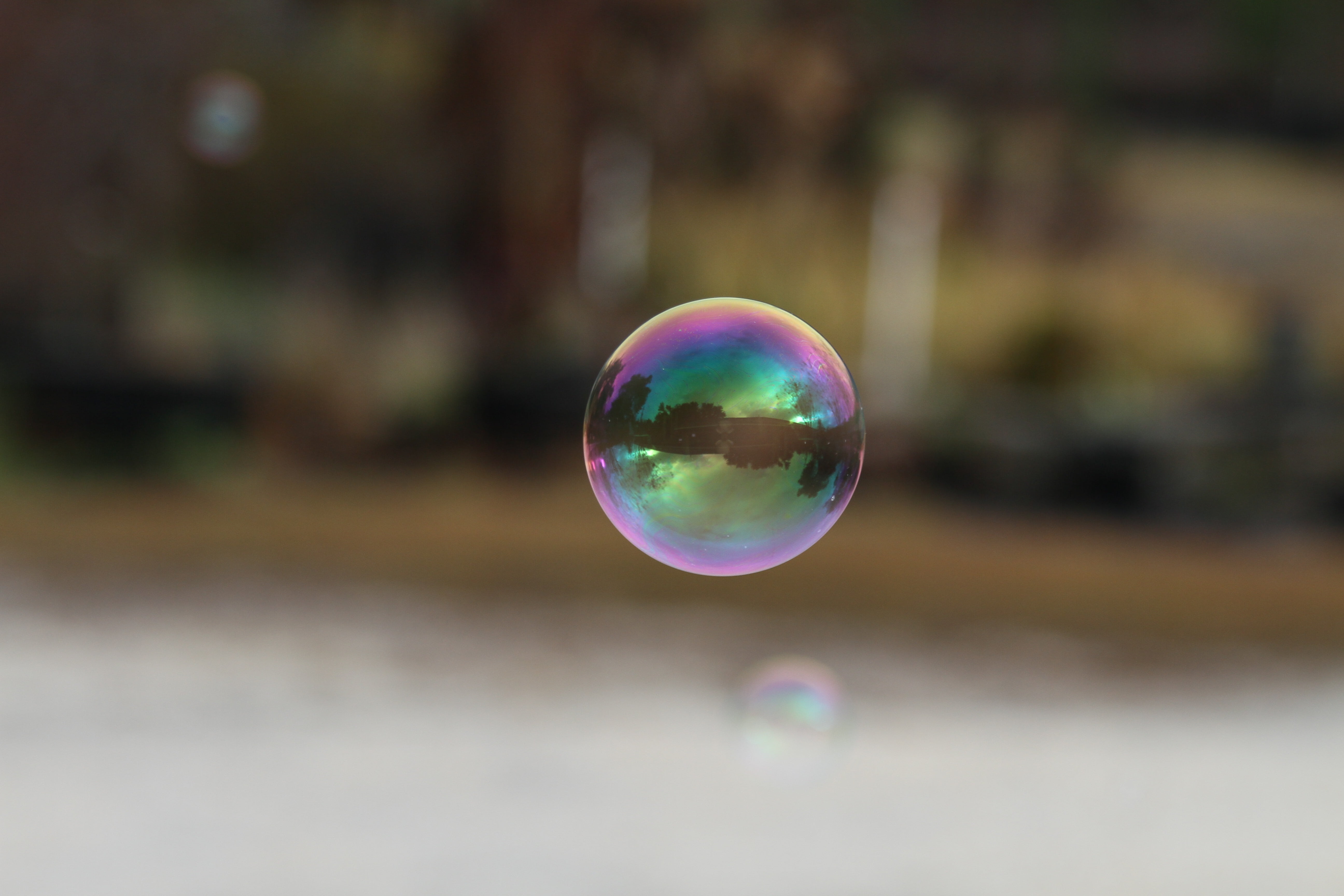 multi colored, transparent, flying, bubble, mid-air, nature, lightweight, floating, shiny, shape, geometric shape, focus on foreground, tree, soap, beauty in nature, HD Wallpaper
