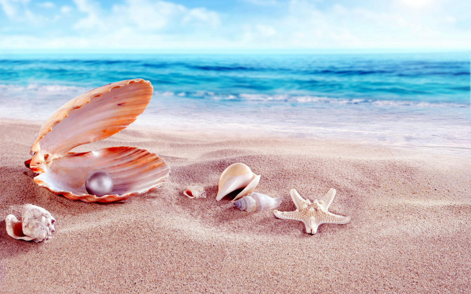 beads, sandy, shells, 1080P, sea, beach, hd, HD Wallpaper
