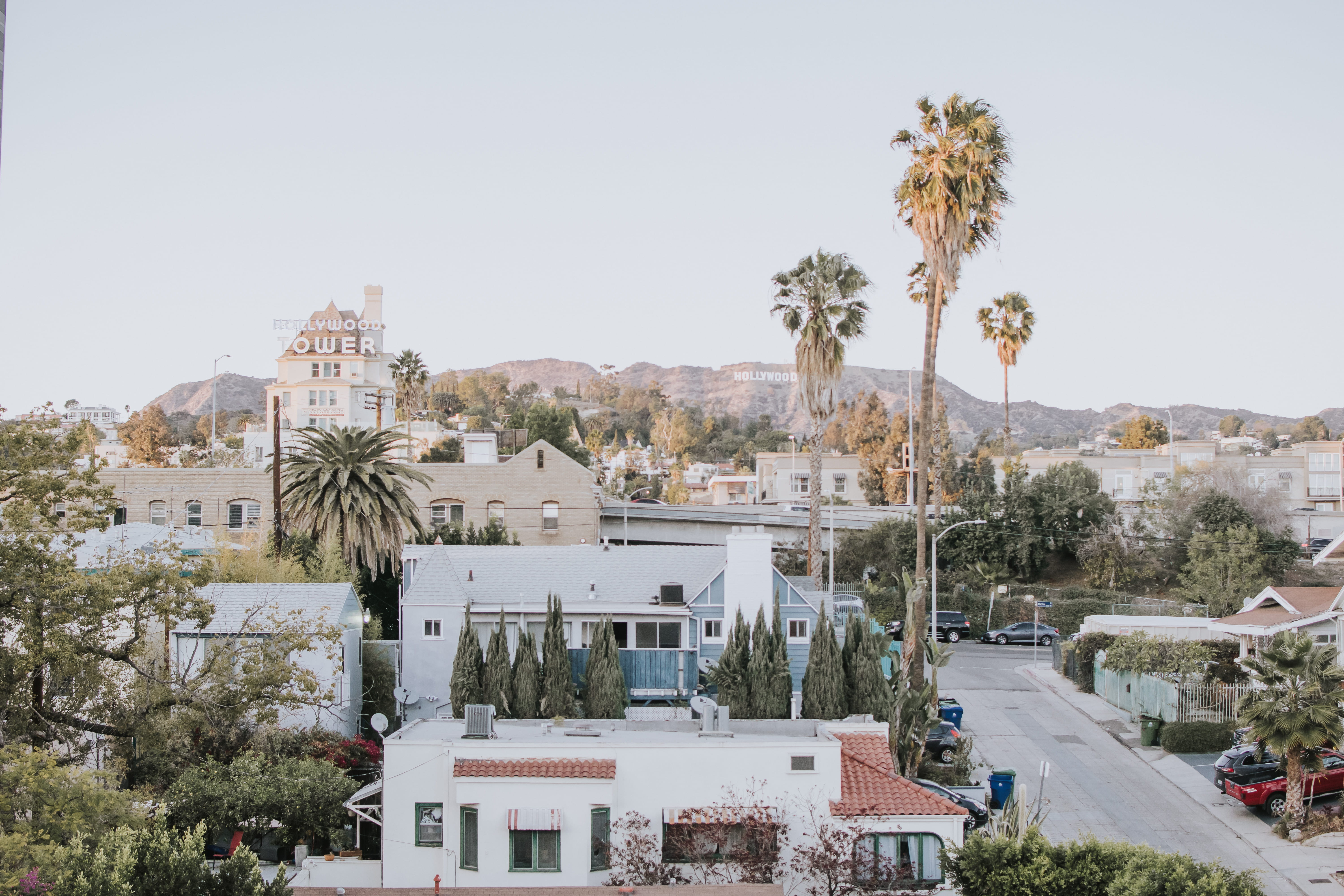 white, water, sky, outdoors, luxury, houses, house, road, concrete, near, leaf, land, no people, clear sky, city, palm tree, trees, nature, 5K, street, HD Wallpaper