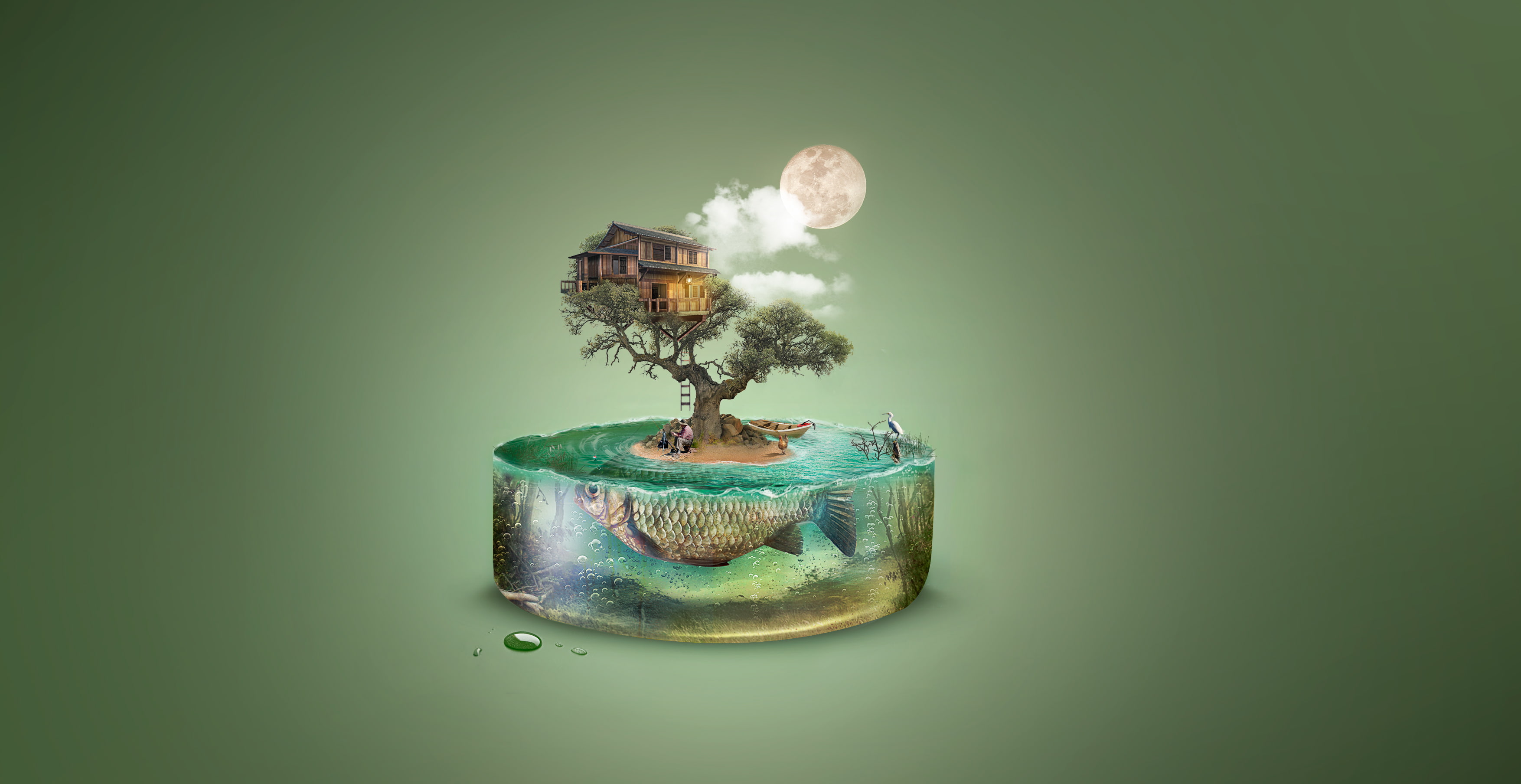 currency, tree, Fishing, no people, wealth, 2K, pollution, green color, nature, lighting equipment, Dream, digital composite, indoors, environmental issues, HD Wallpaper