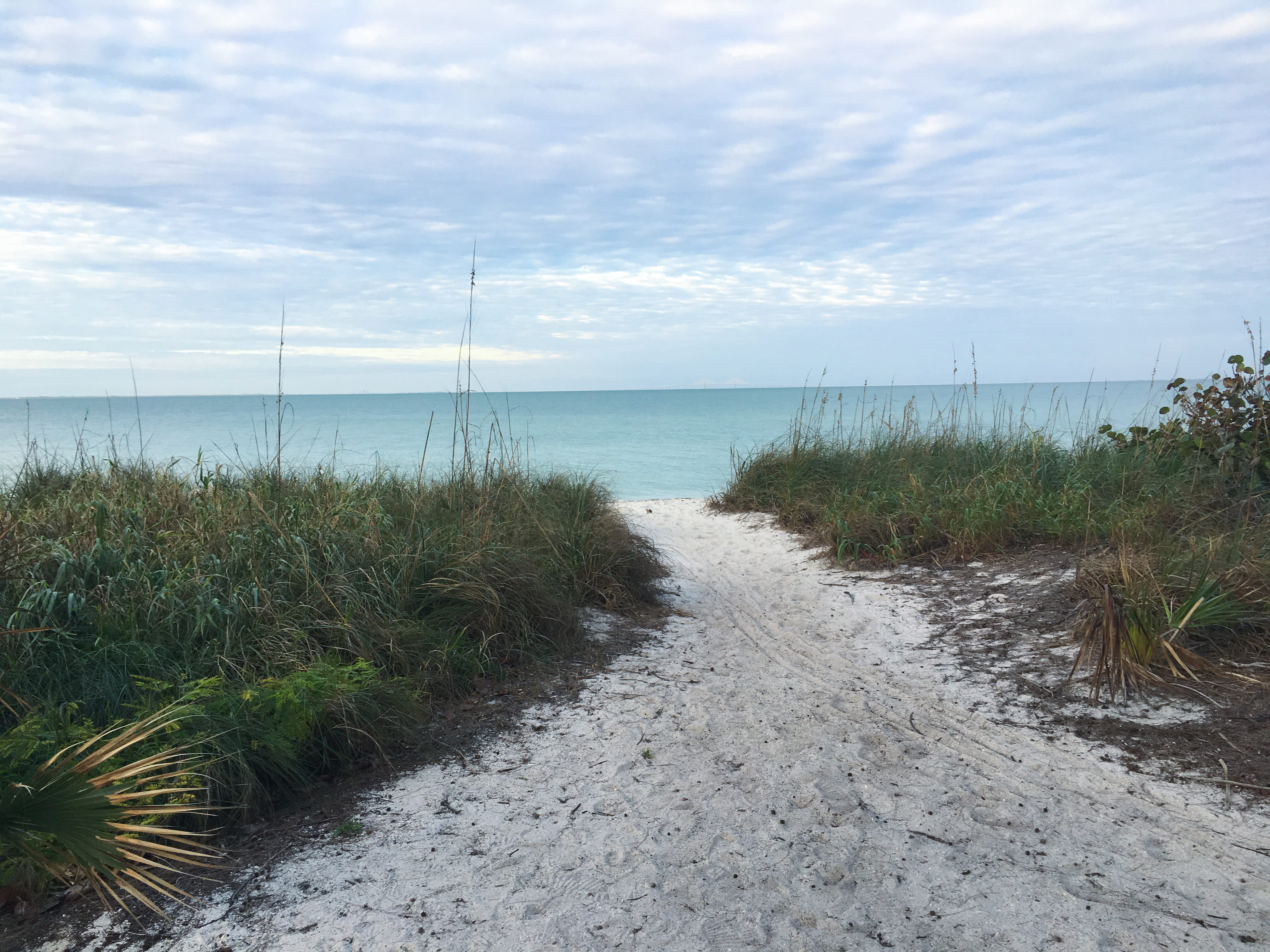 tranquil scene, outdoors, plant, beauty in nature, seashore, scenics - nature, marram grass, land, anna maria island, united states, dunes, the way forward, HD Wallpaper