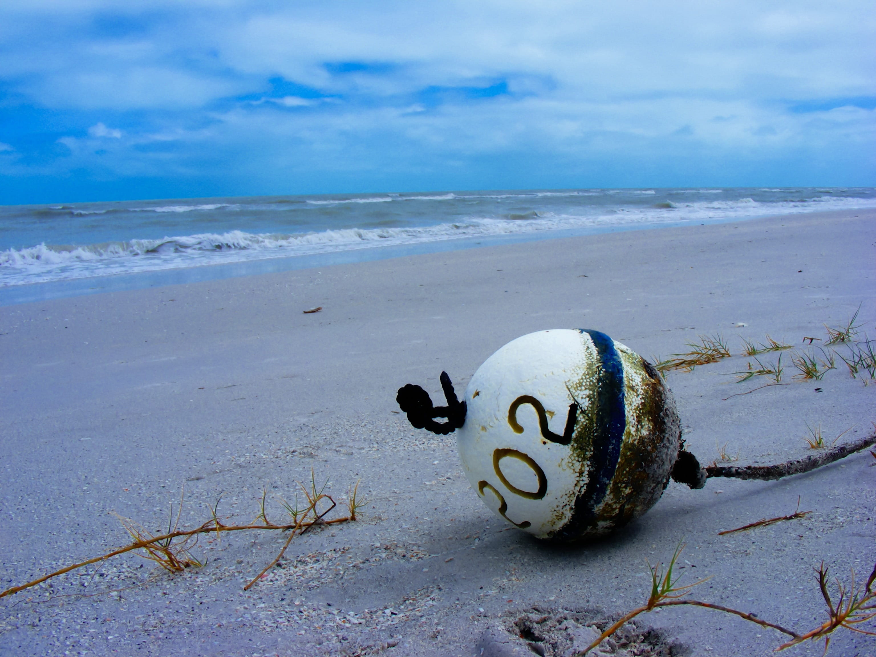 sea, shore, sanibel island, black and white, fishing, blue, beach, number, ball, sand, water, representation, shoreline, sky, Gulf Coast, day, Sea, hurricane, HD Wallpaper