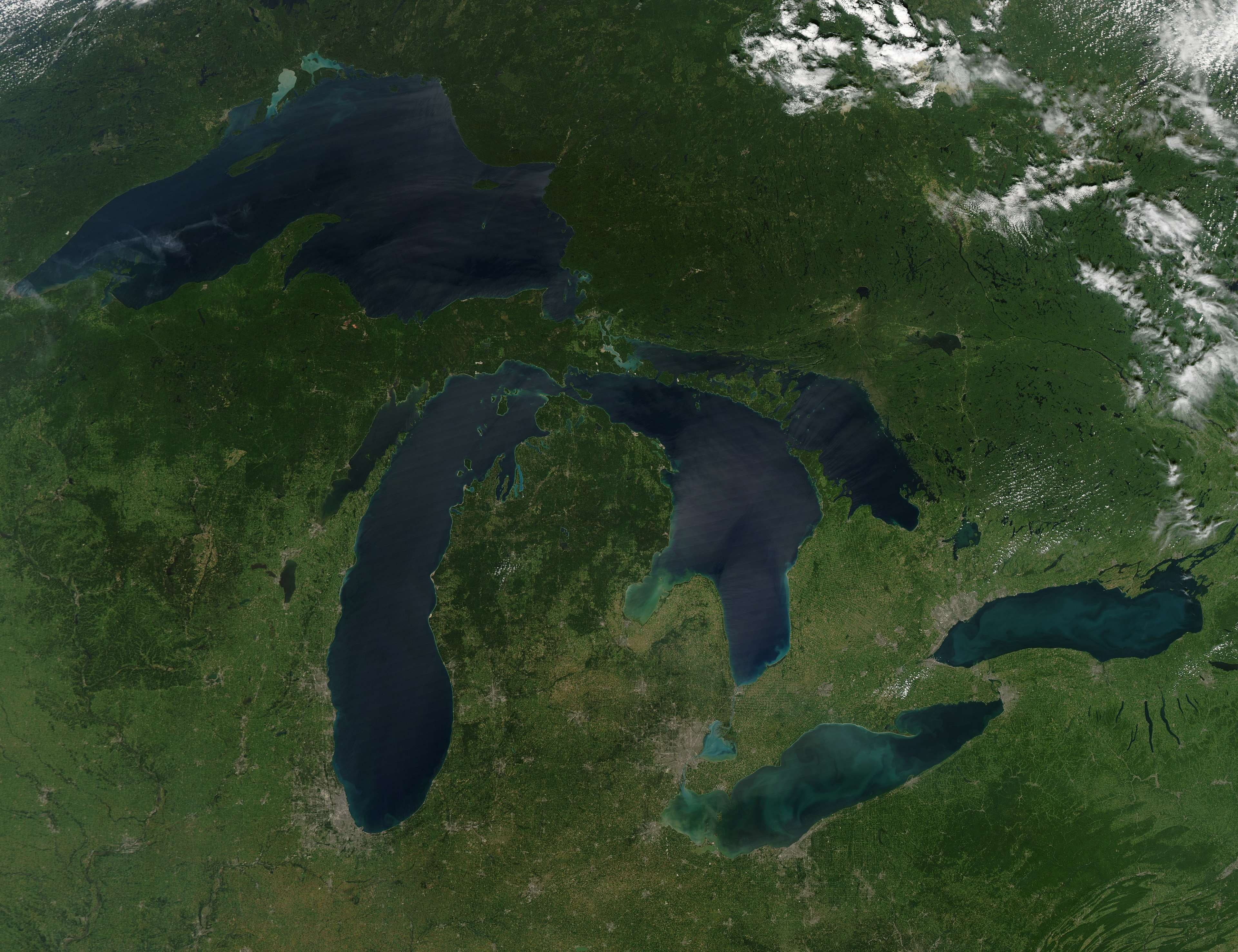 green color, panorama, high angle view, animal, beauty in nature, lake, canada, cosmos, day, usa, nasa, orbiting, no people, animals in the wild, plant, HD Wallpaper