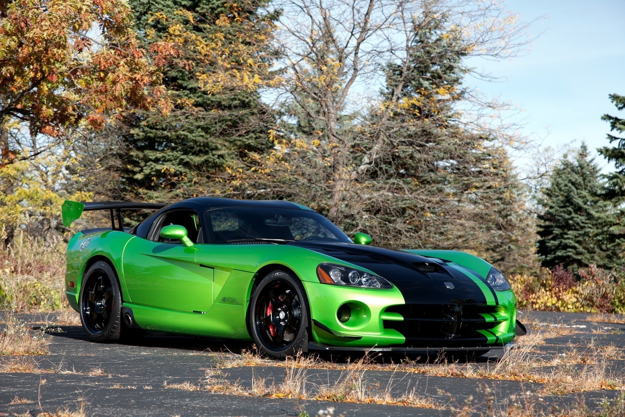 blue, turquoise colored, tree, mode of transportation, retro styled, growth, Acr snakeskin edition, Auto, Viper, vintage car, 1080P, land vehicle, Dodge, HD Wallpaper