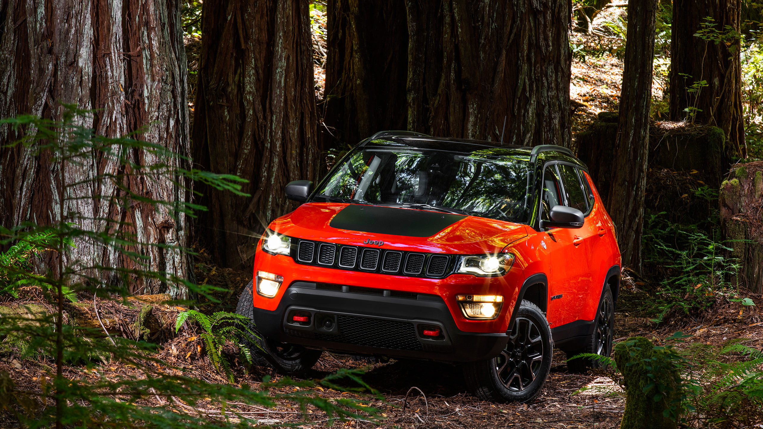 car, Compass, mode of transportation, growth, motor vehicle, trunk, day, red, forest, Jeep, travel, no people, Trailhawk, transportation, nature, outdoors, HD Wallpaper