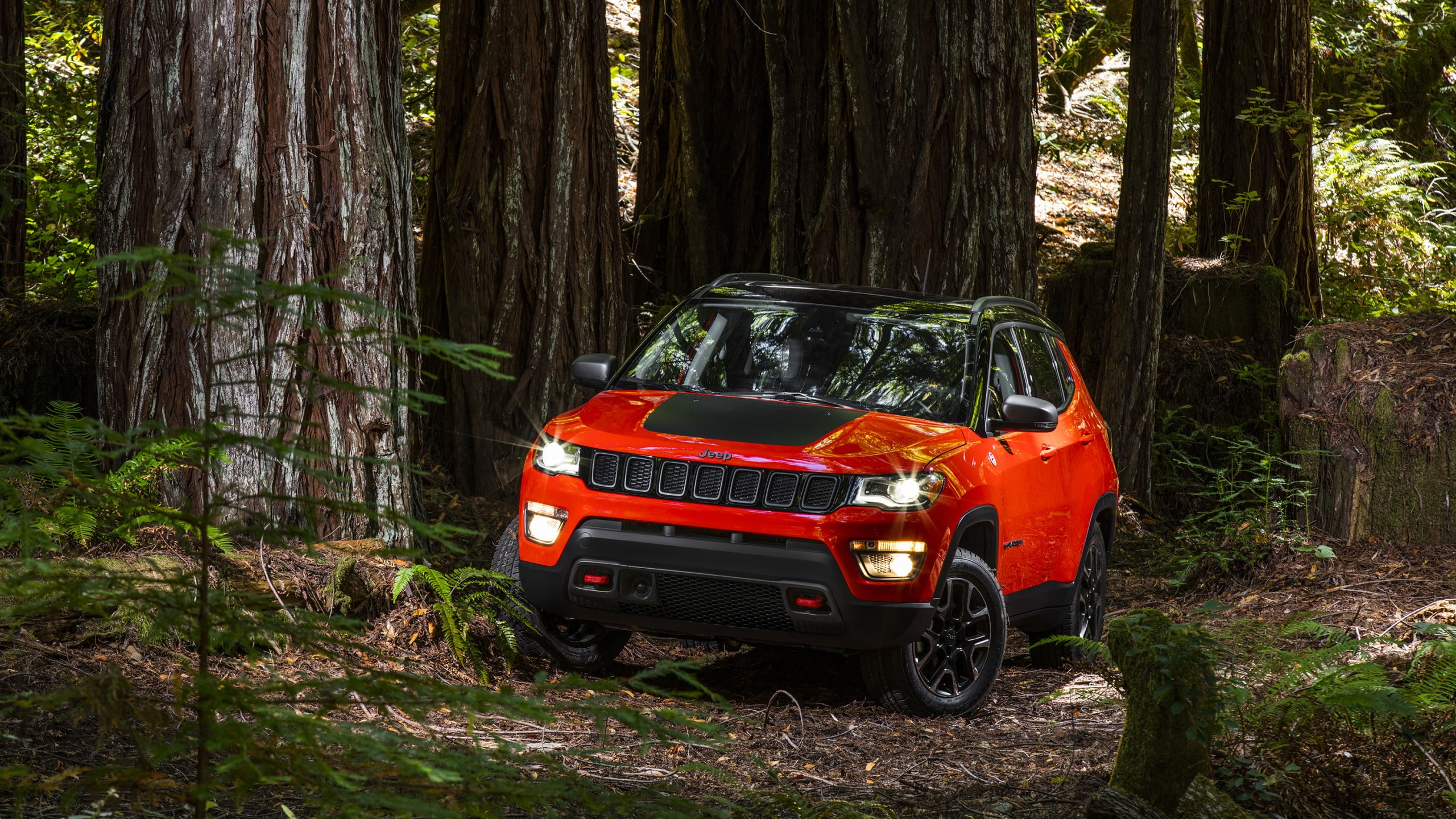 2K, grand, red, forest, jeep, cherokee, orange, suv, Jeep Compass Trailhawk, HD Wallpaper