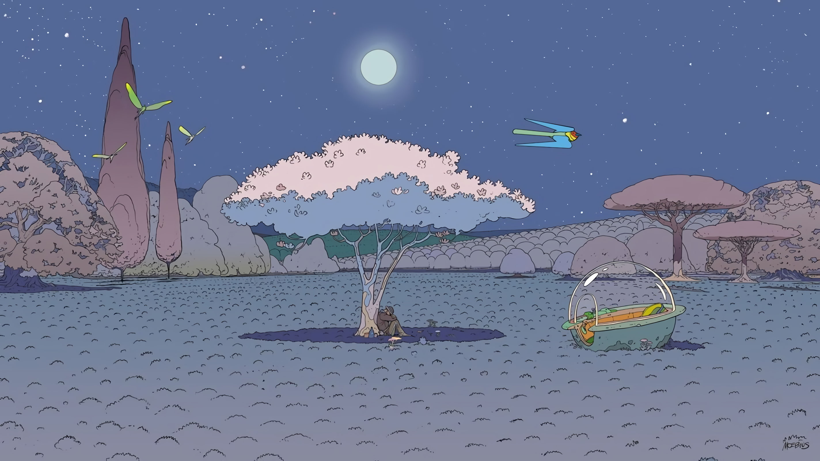 nature, 2K, night, tranquility, beach, land, beauty in nature, sea, landscape, space, sky, Mœbius, birds, idyllic, digital art, science fiction, outdoors, HD Wallpaper