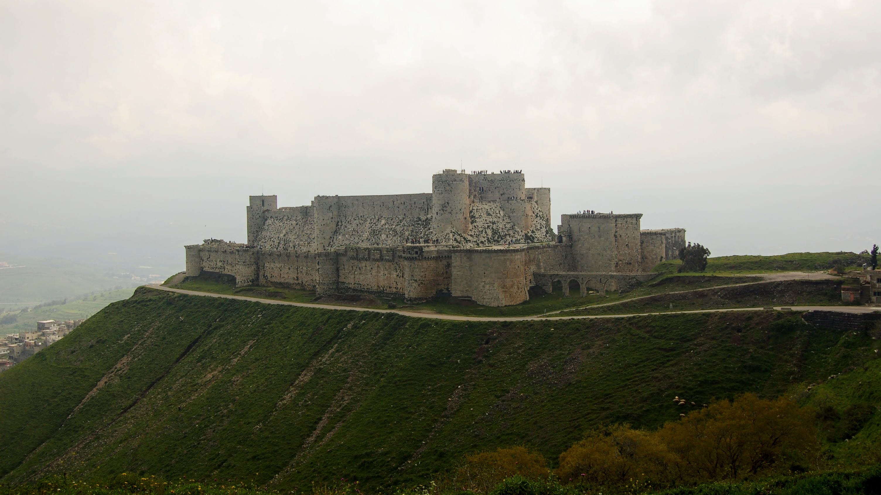 tree, sky, hosn, krak des chevaliers, hill, building exterior, ruined, the past, built structure, tourism, old ruin, history, growth, syria, castle, fort, HD Wallpaper
