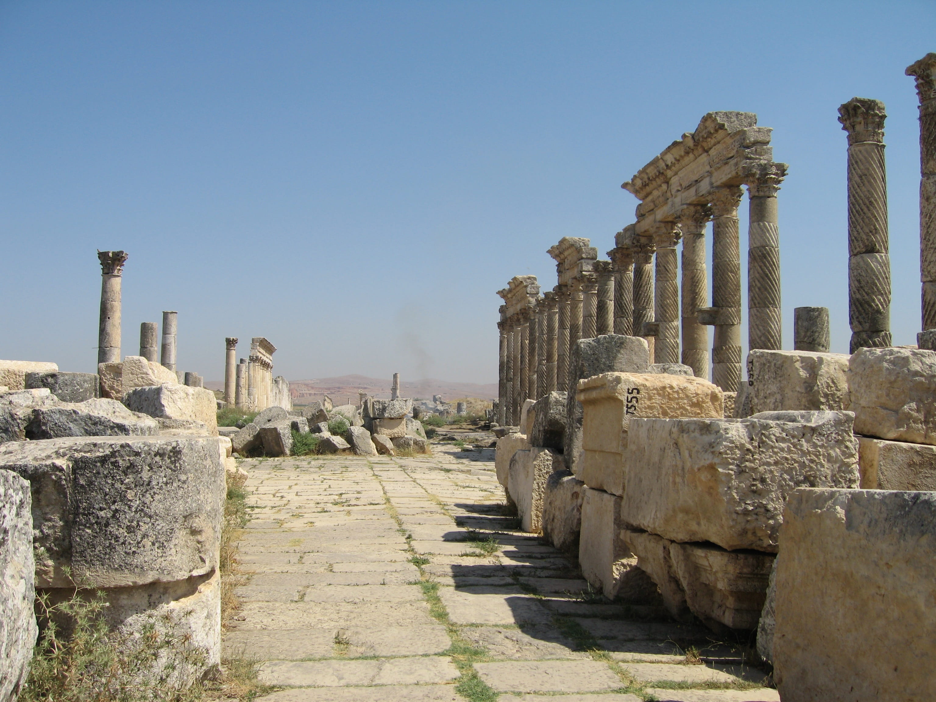Thistle, old ruin, archaeology, architectural column, place of worship, Syria, sunlight, day, built structure, travel, syria, tourism, 2K, outdoors, no people, HD Wallpaper