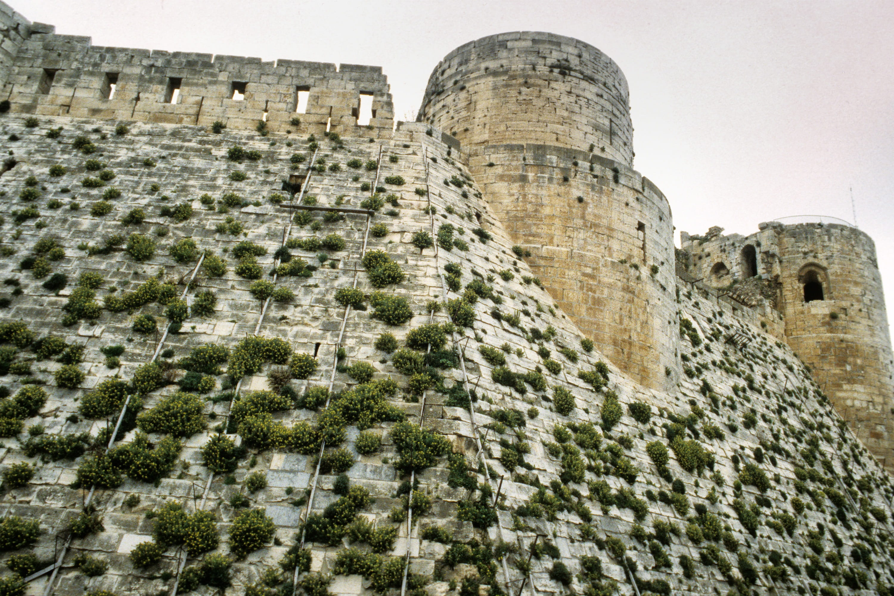 outdoors, travel, old ruin, architecture, the past, plant, ancient, sky, krak, chevalier, tree, ancient civilization, no people, archaeology, crusader, HD Wallpaper