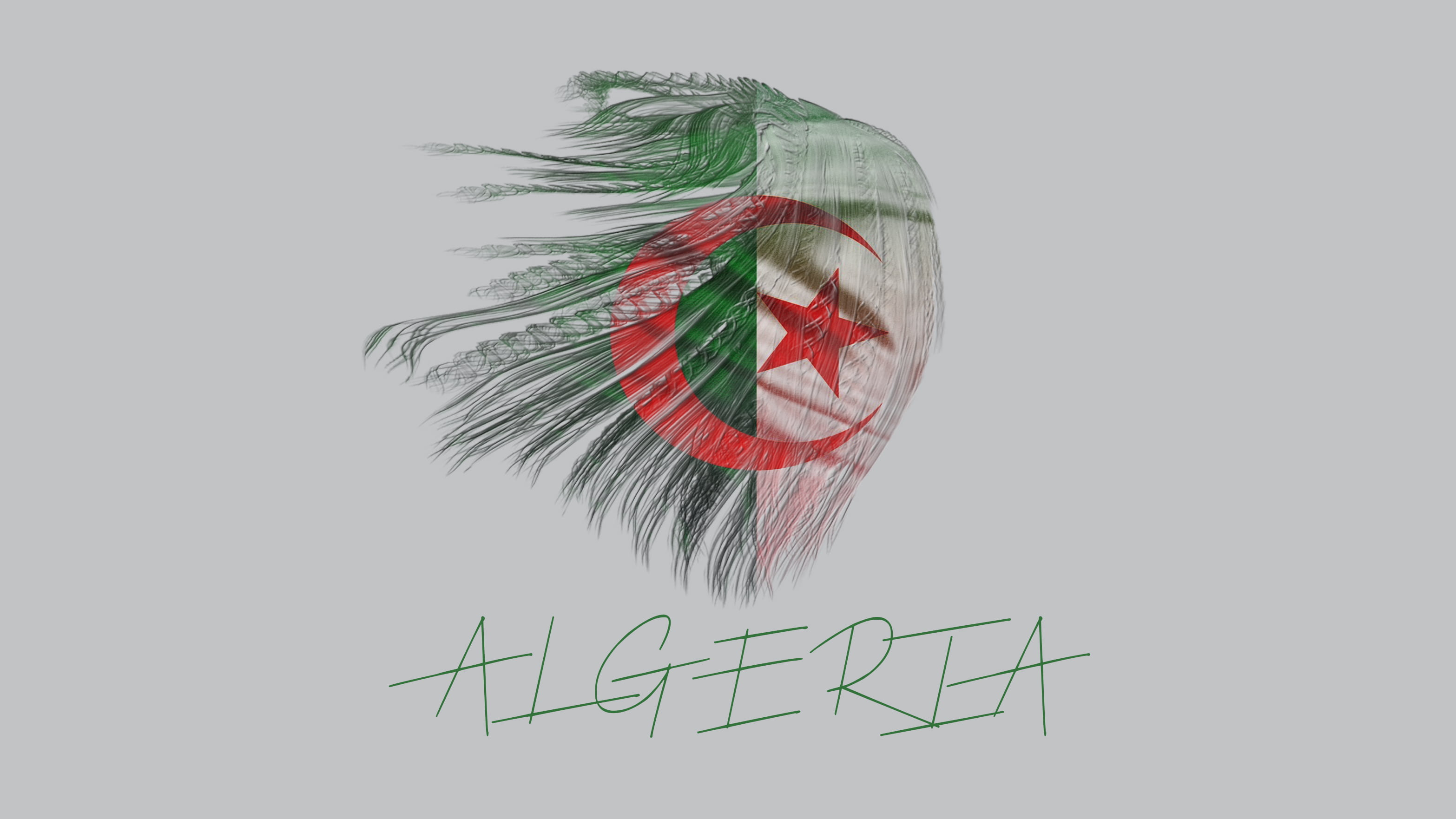 2K, Algeria, flag, typography, simple background, HD Wallpaper