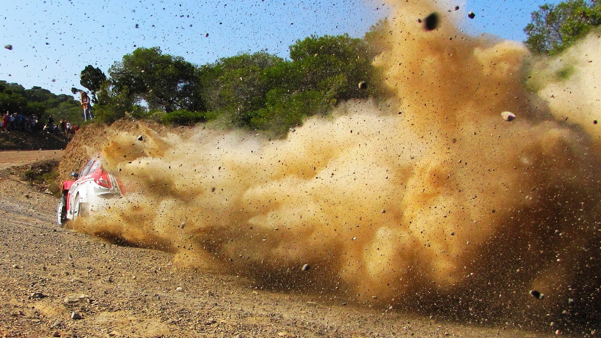Rally, no people, animal, racing, sport, dust, mammal, 1080P, animal themes, plant, transportation, race cars, tree, domestic animals, nature, day, outdoors, HD Wallpaper