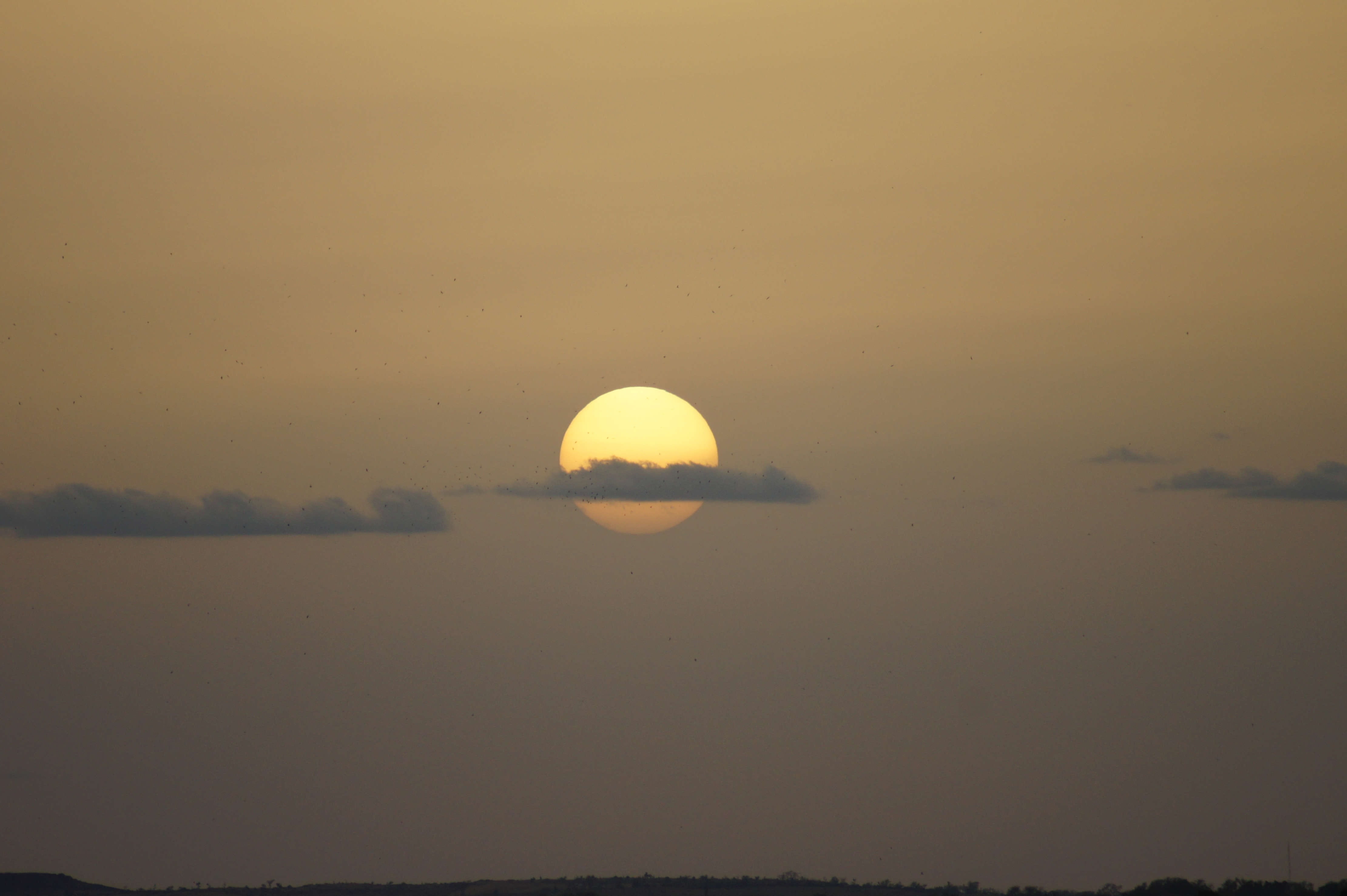 space, sunset, cloud - sky, nature, no people, moon, scenics - nature, twilight, tranquility, niamey, evening, water, outdoors, sun, birds, light, idyllic, HD Wallpaper