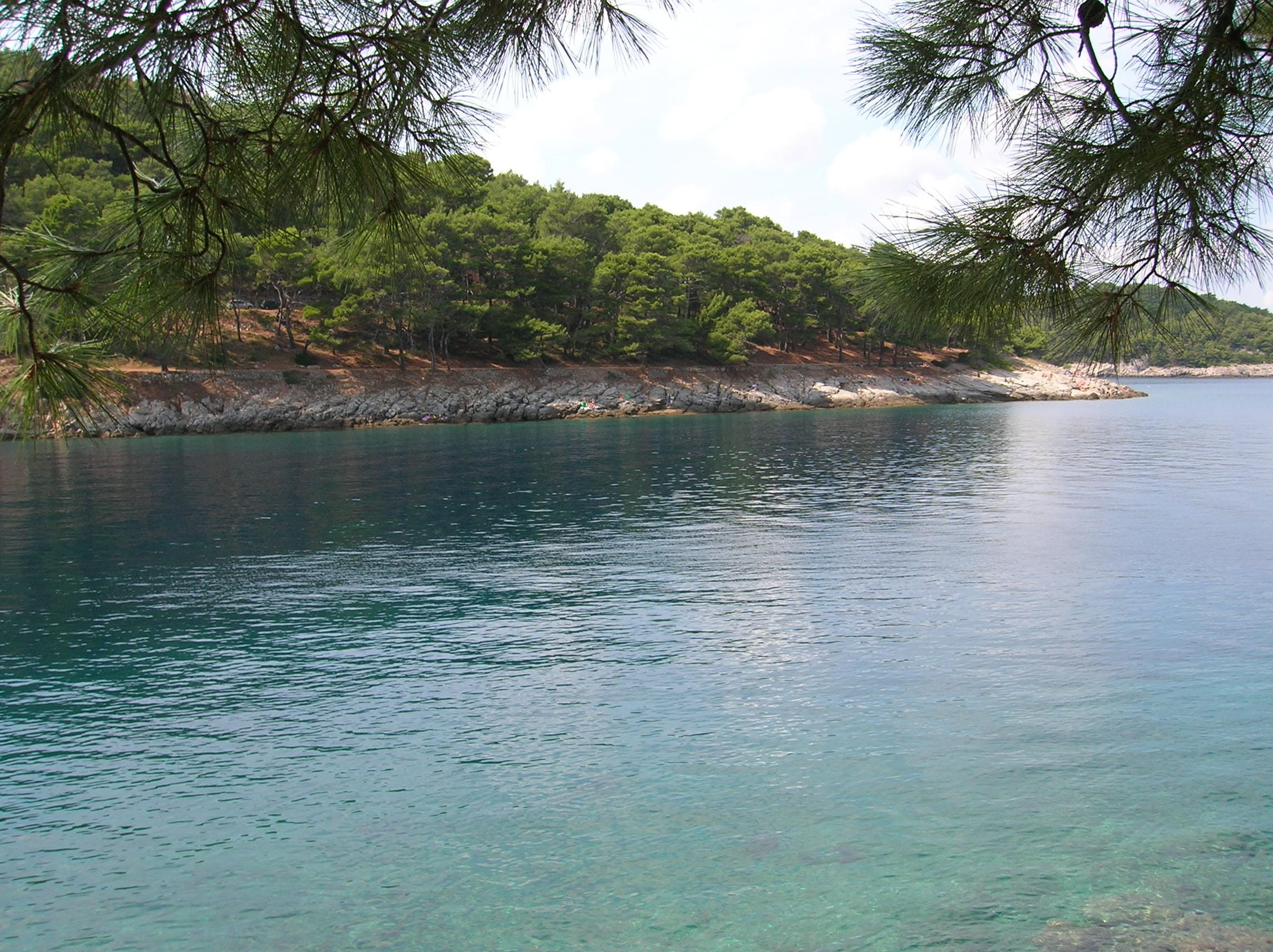 1080P, beauty in nature, wild, plant, growth, green color, Island, land, environment, losinj island, view, reflection, tranquil scene, no people, non-urban scene, HD Wallpaper