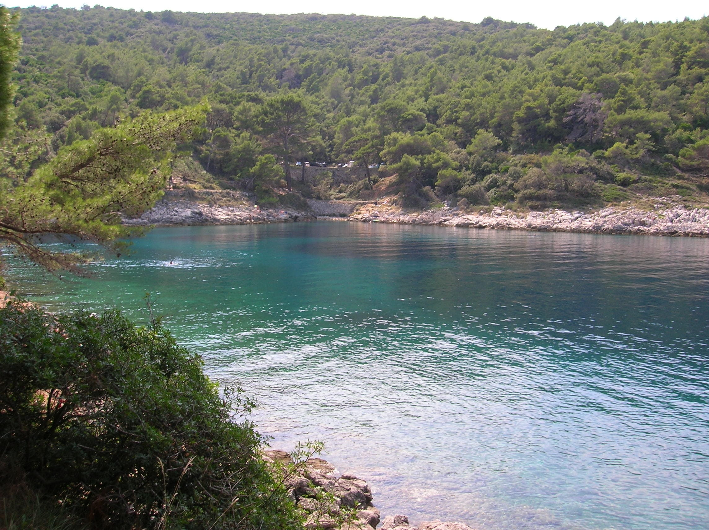 losinj island, day, Bay, growth, scenics, land, outdoors, idyllic, tranquility, mountain, nature, non-urban scene, forest, scenery, high angle view, wilderness, HD Wallpaper