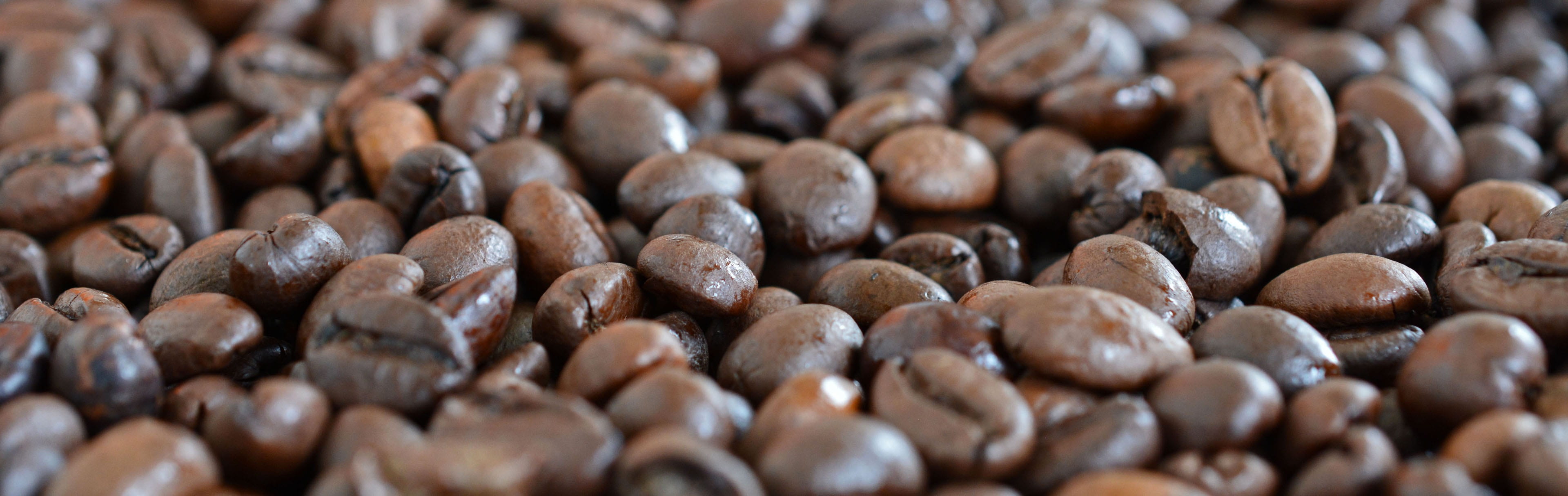 backgrounds, freshness, roasted coffee bean, photo, bunch, panoramic, no people, large group of objects, food, fruit, brown, coffee beans, drink, beans, HD Wallpaper