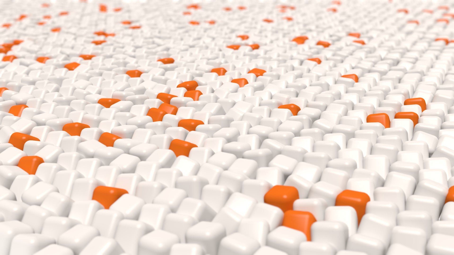 education, indoors, orange color, conformity, arrangement, backgrounds, close-up, general, no people, studio shot, white color, full frame, shape, pattern, HD Wallpaper
