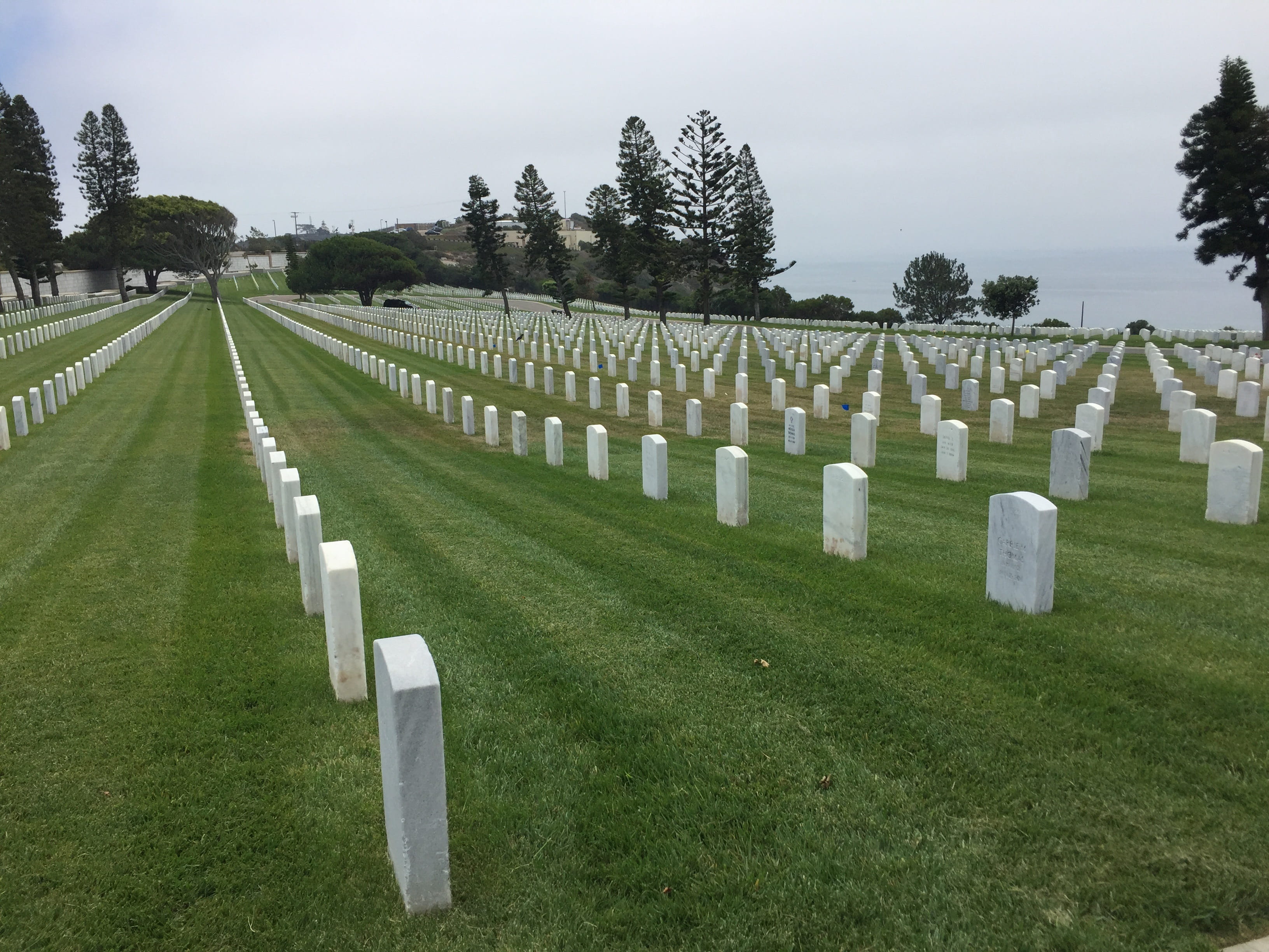 graveyard, history, cemetery, tree, Grave, honor, plant, memorial, no people, grave stones, outdoors, 2K, white color, grass, stone, war memorial, sadness, HD Wallpaper