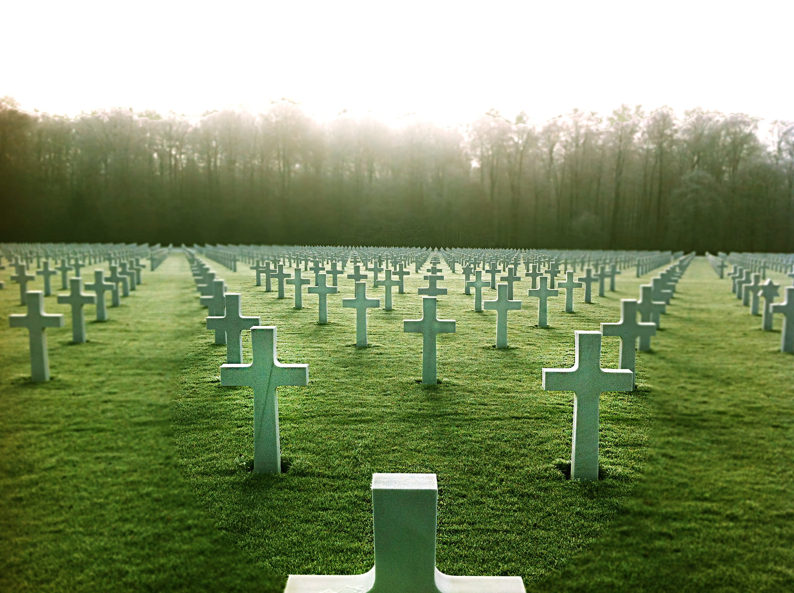 repetition, grave, in a row, cemetery, tombstone, sunlight, tomb, cross, day, order, large group of objects, no people, grass, cruz, stone, nature, plant, HD Wallpaper